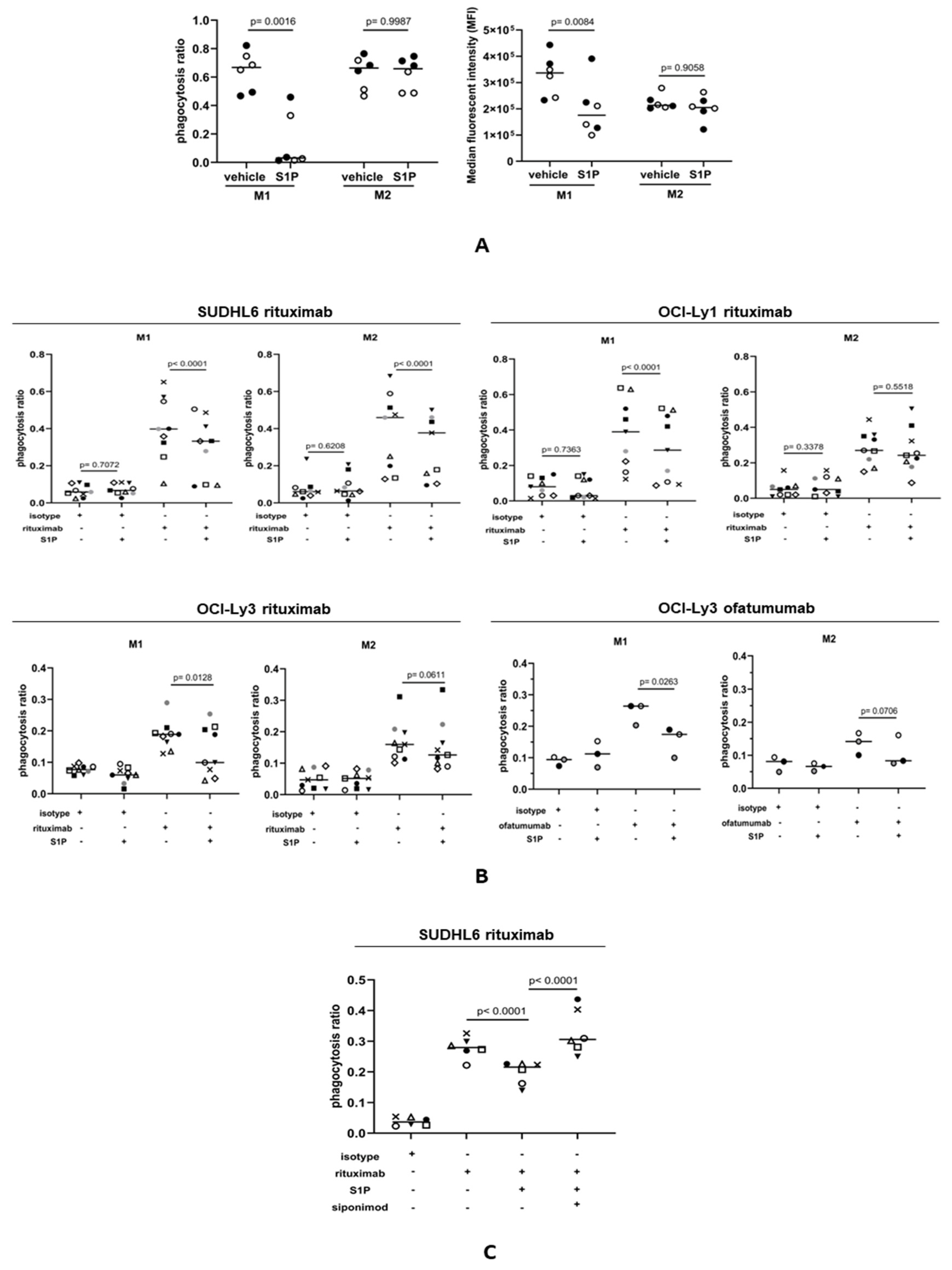 Cancers 16 00574 g006