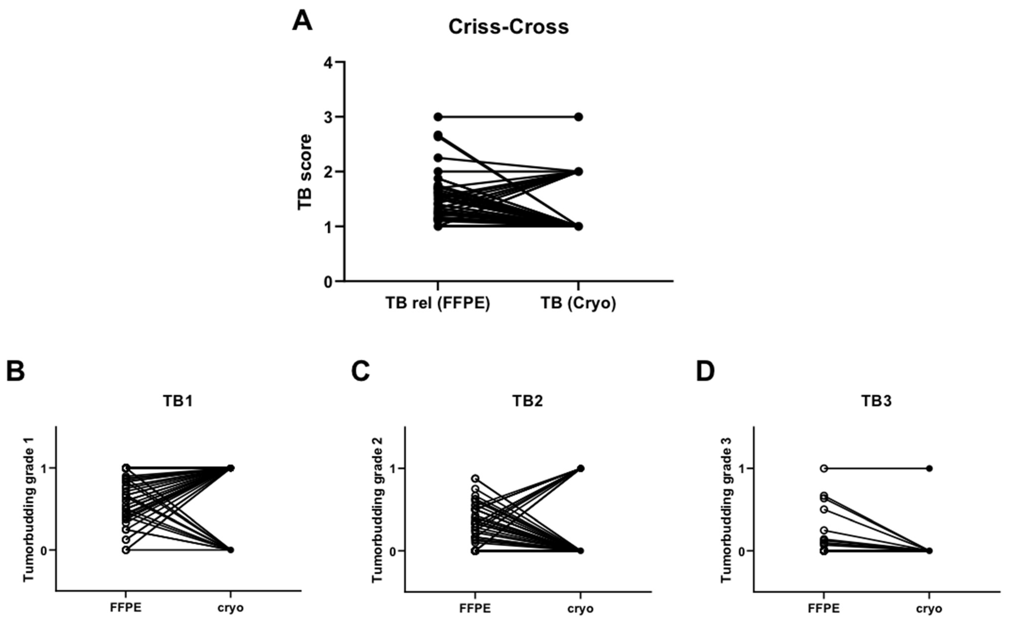 Cancers 16 00587 g007