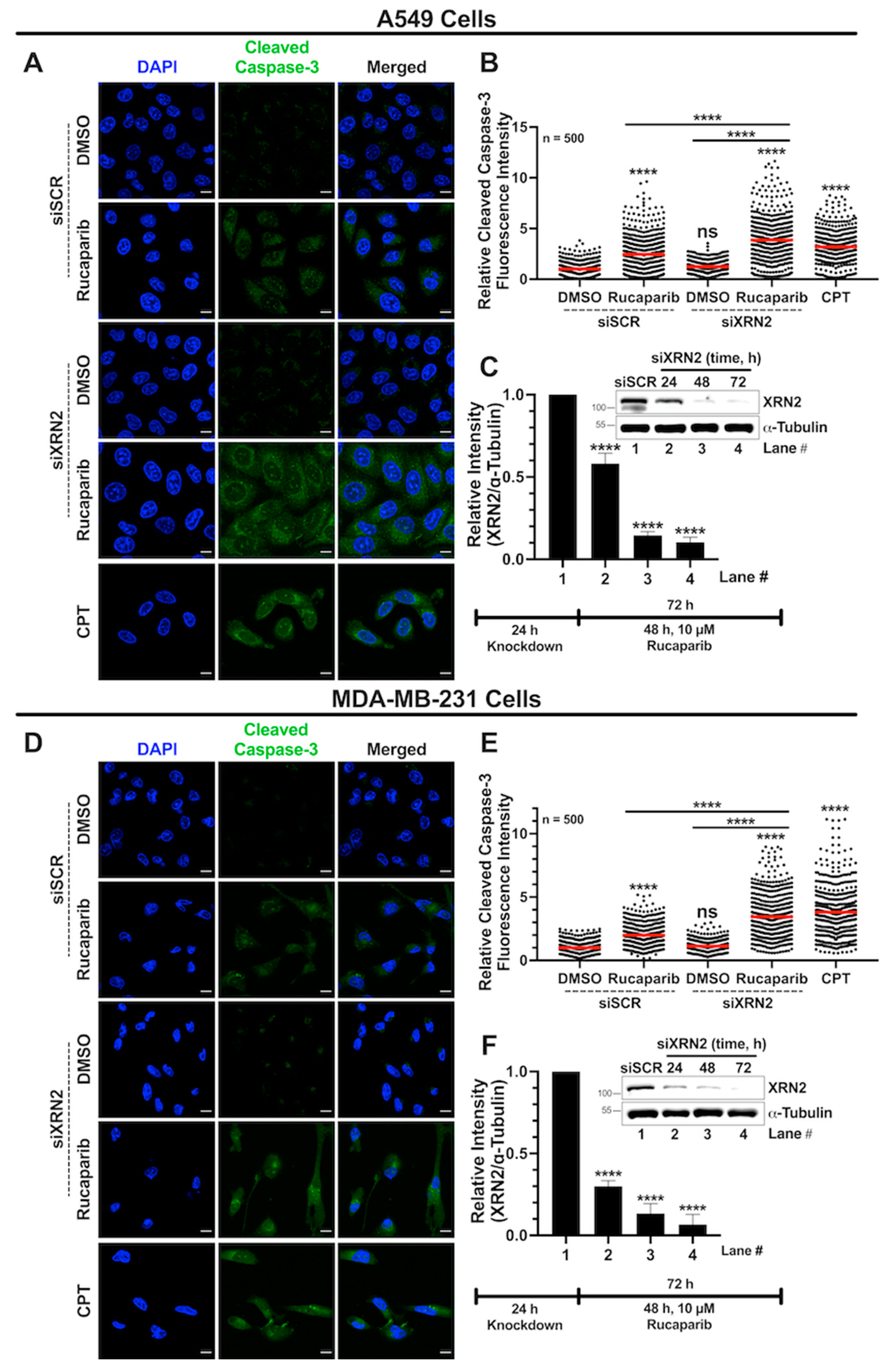 Cancers 16 00595 g007