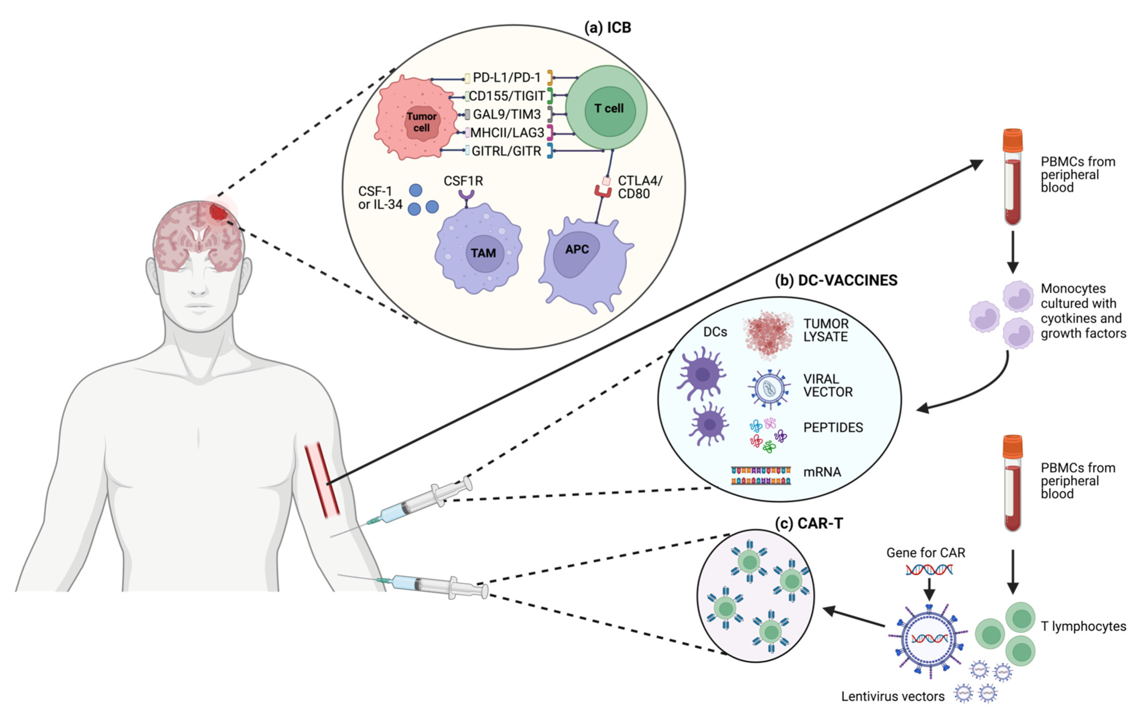 Cancers 16 00603 g002