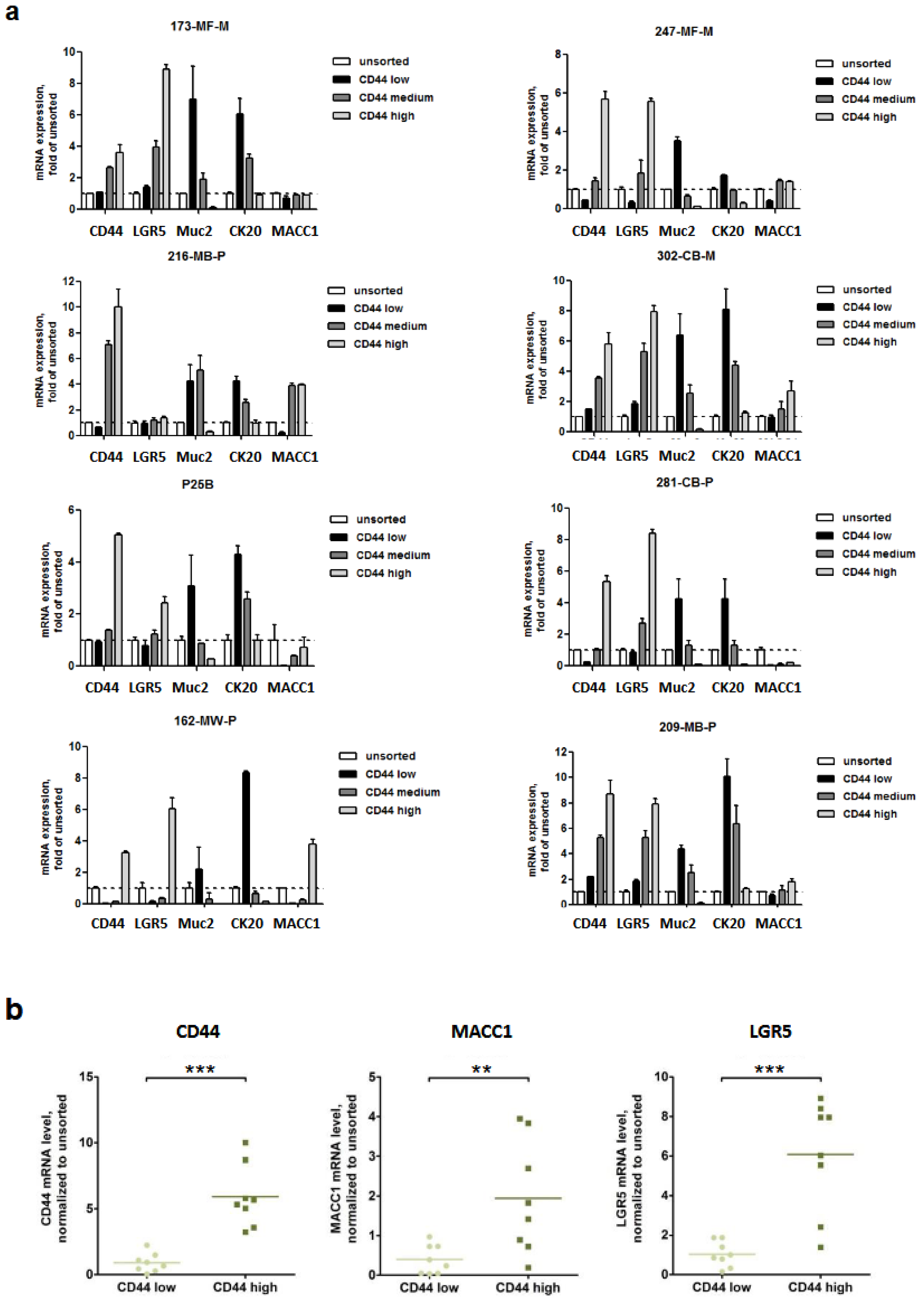 Cancers 16 00604 g001