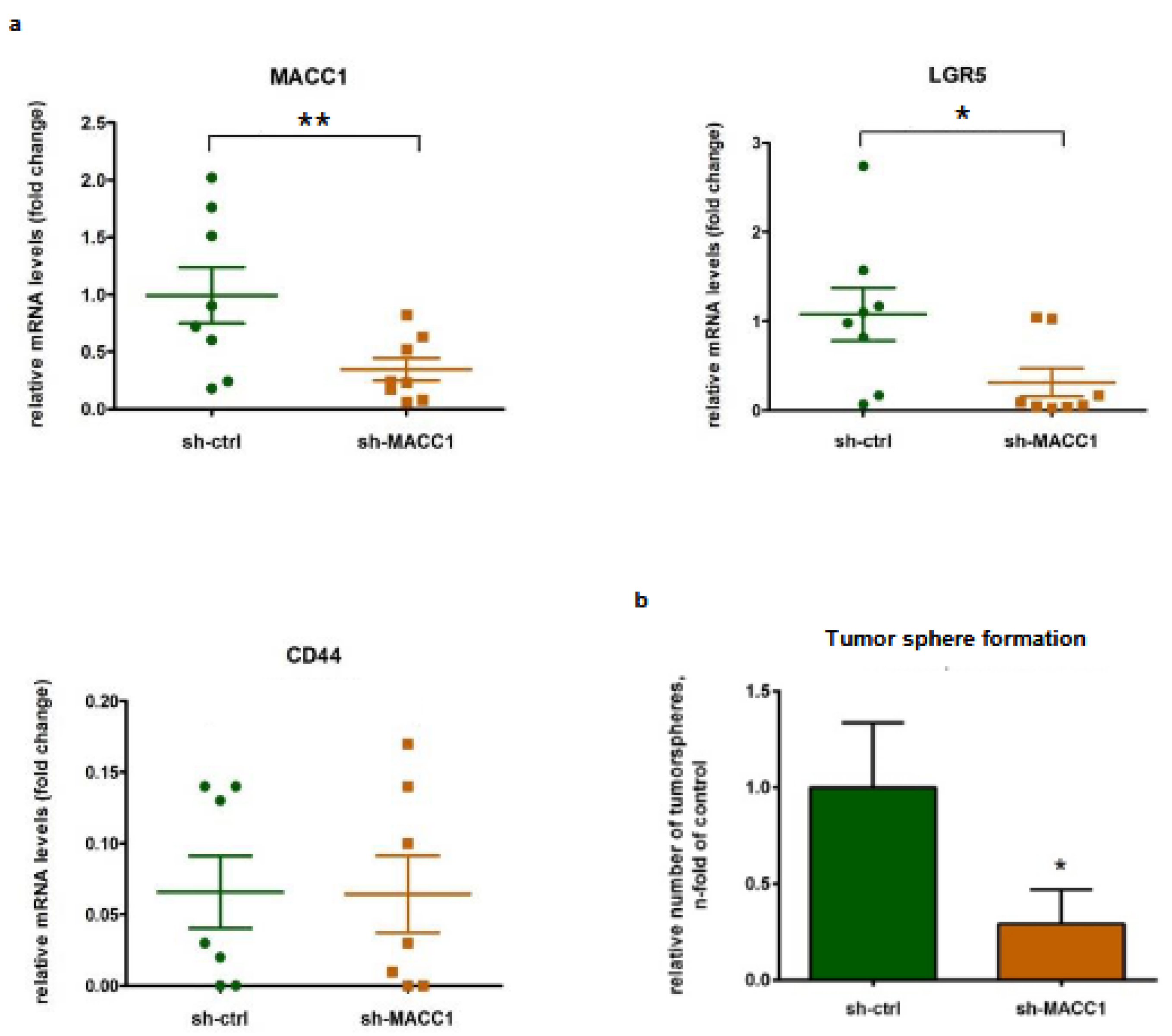 Cancers 16 00604 g002
