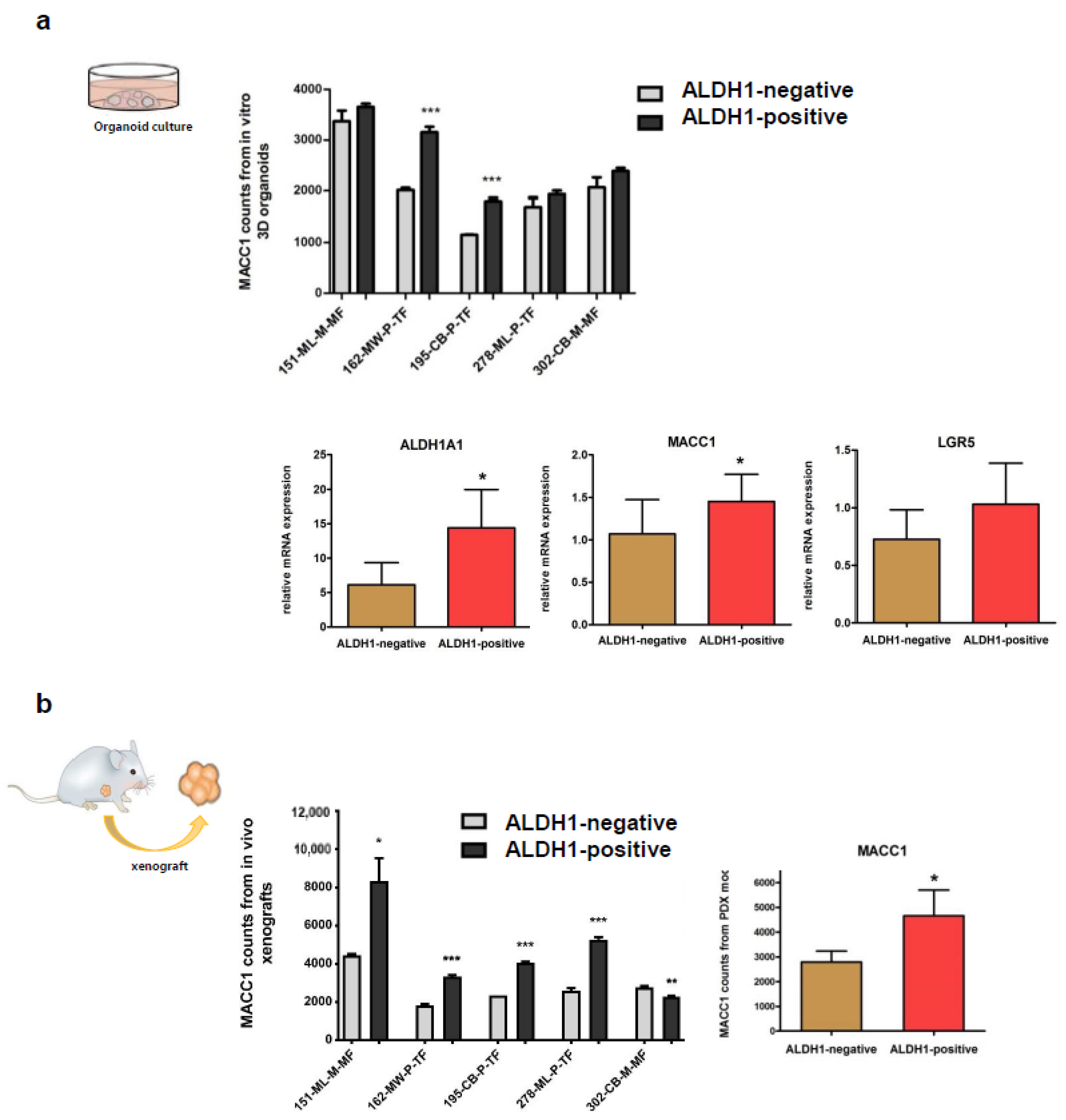 Cancers 16 00604 g004