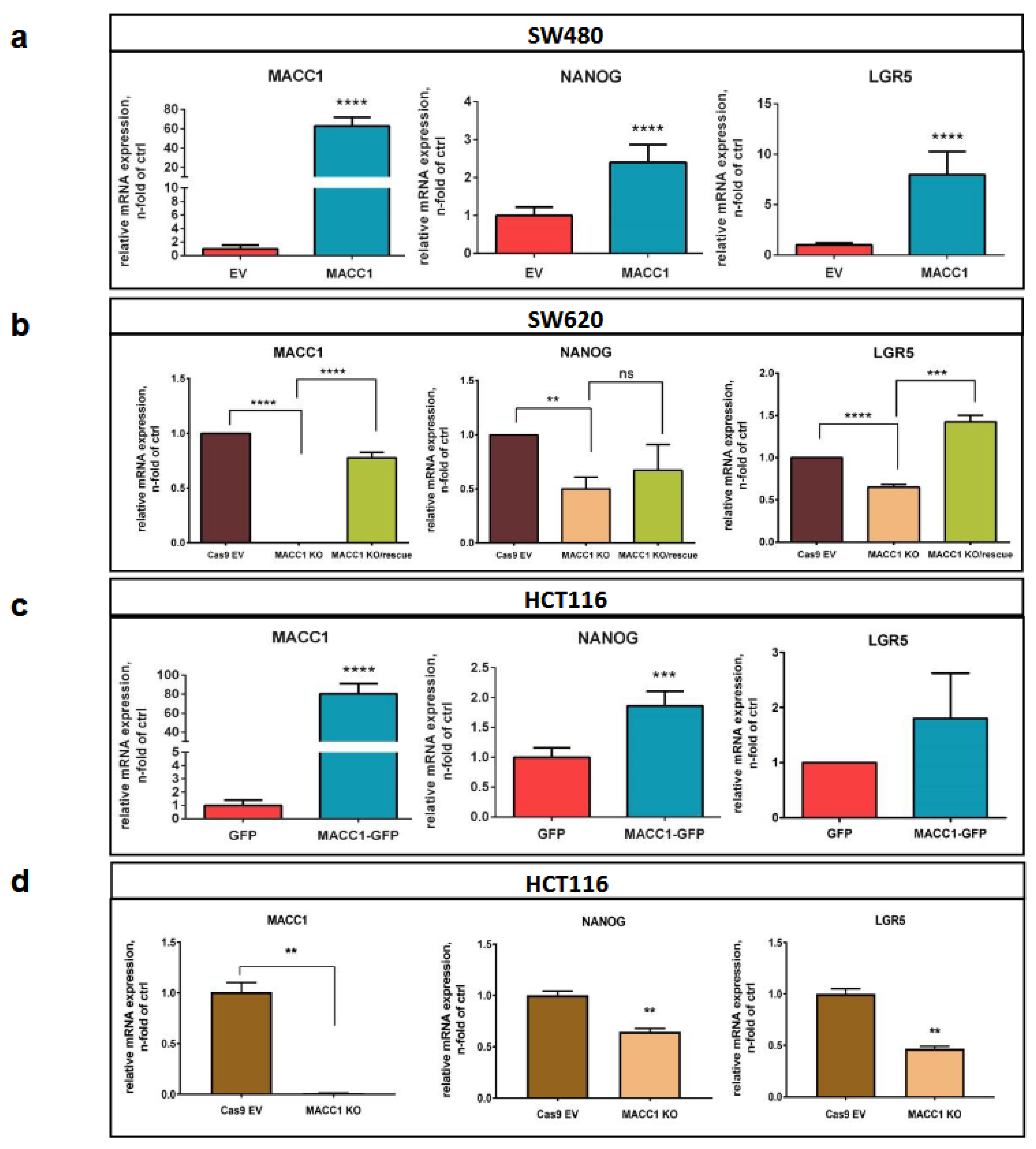 Cancers 16 00604 g005