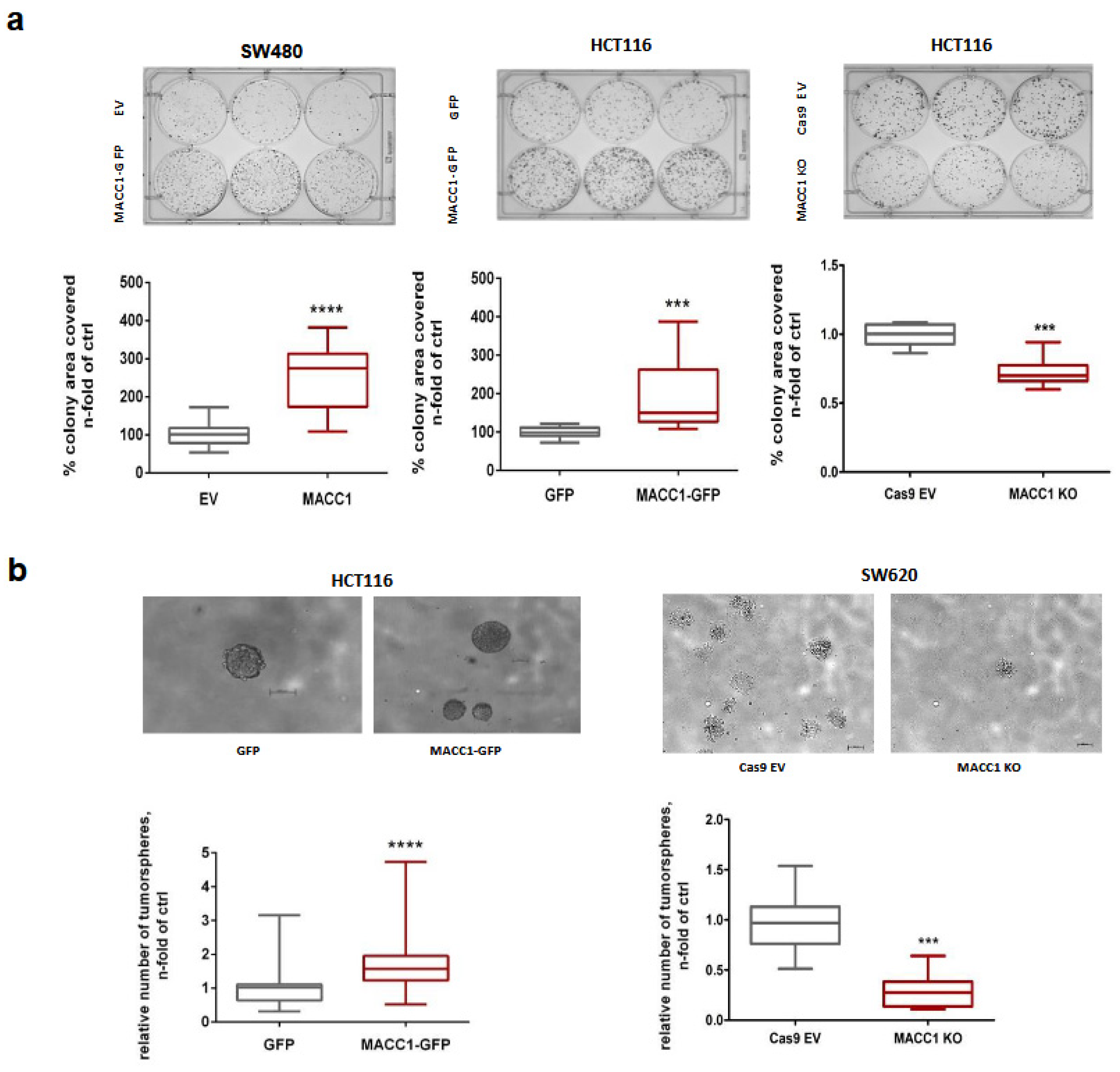 Cancers 16 00604 g006