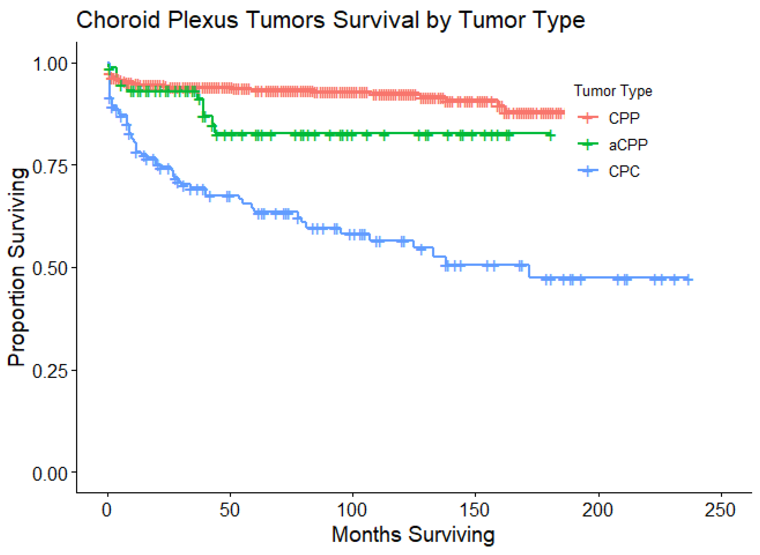 Cancers 16 00610 g001