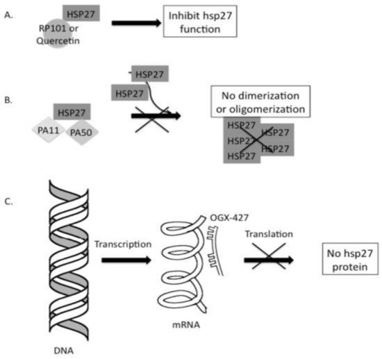 Cancers 16 00638 g003
