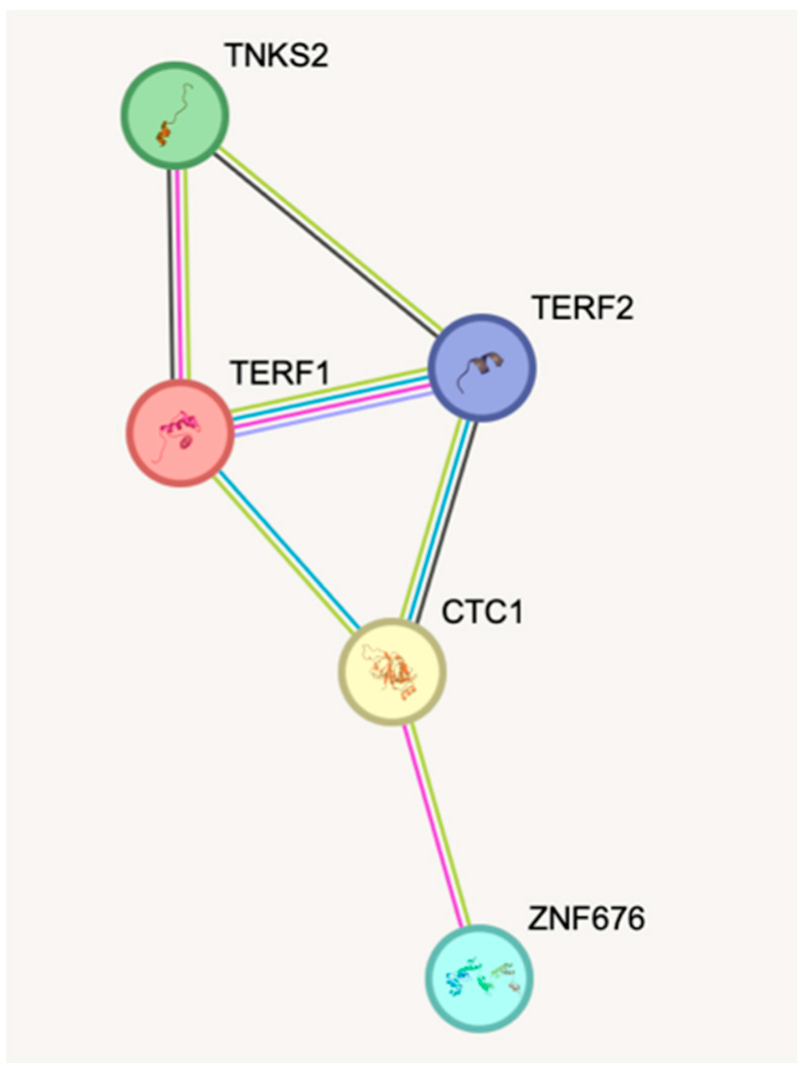 Cancers 16 00643 g001
