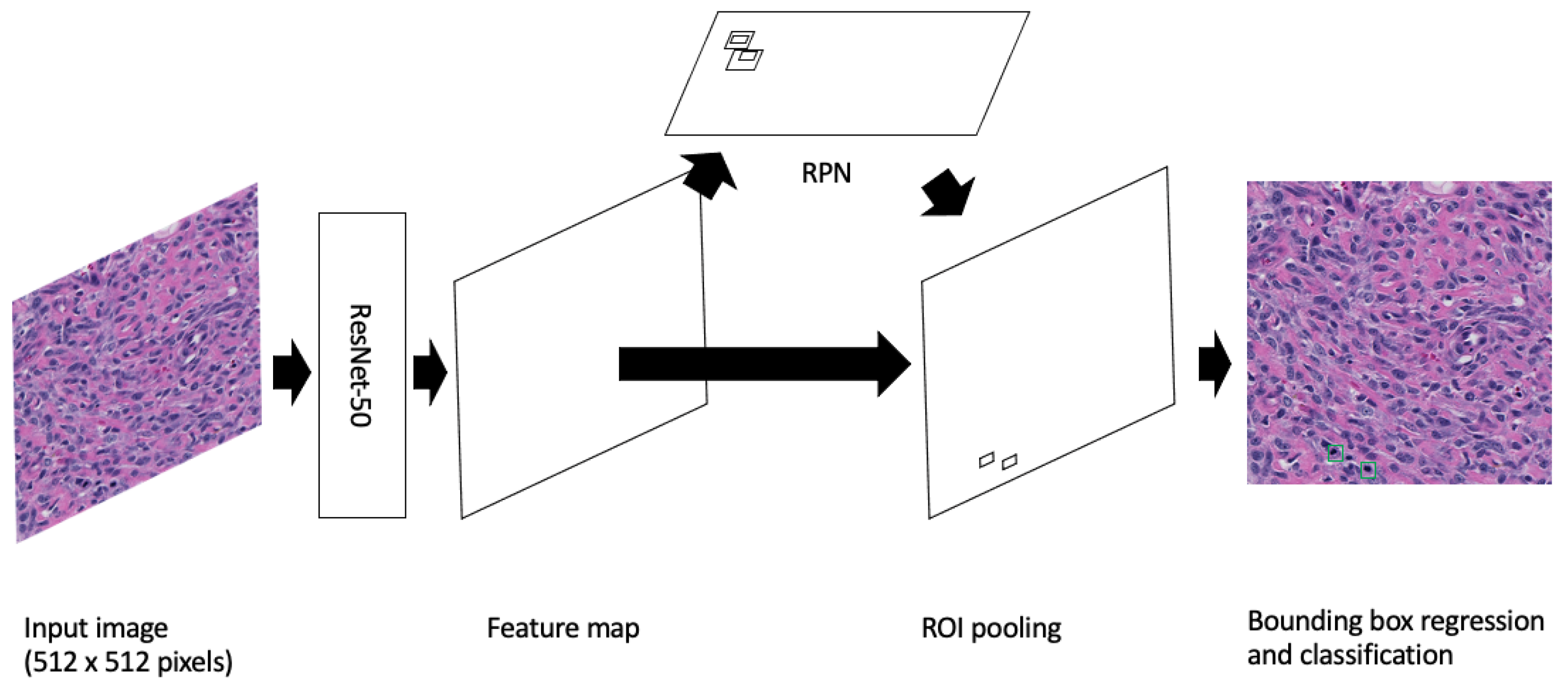 Cancers 16 00644 g001