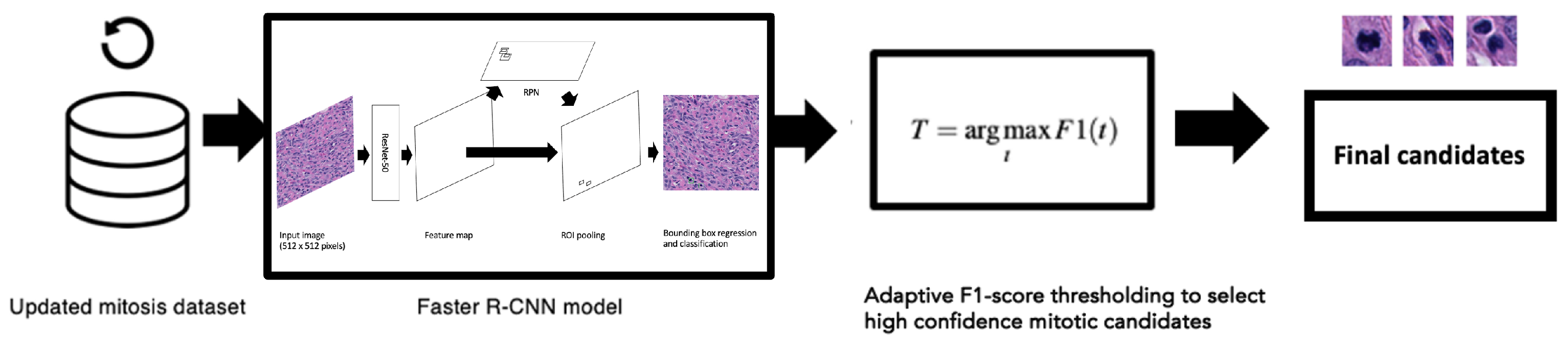 Cancers 16 00644 g003