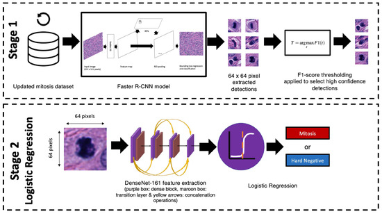 Cancers 16 00644 g0a1