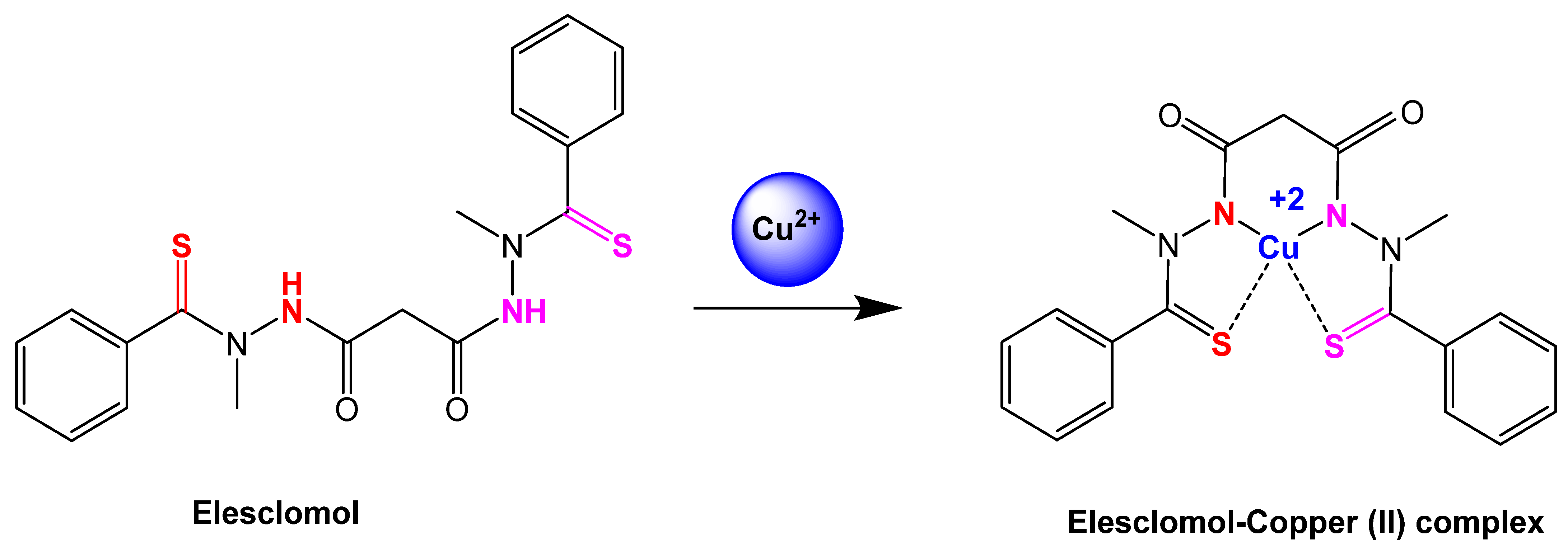 Cancers 16 00647 g003