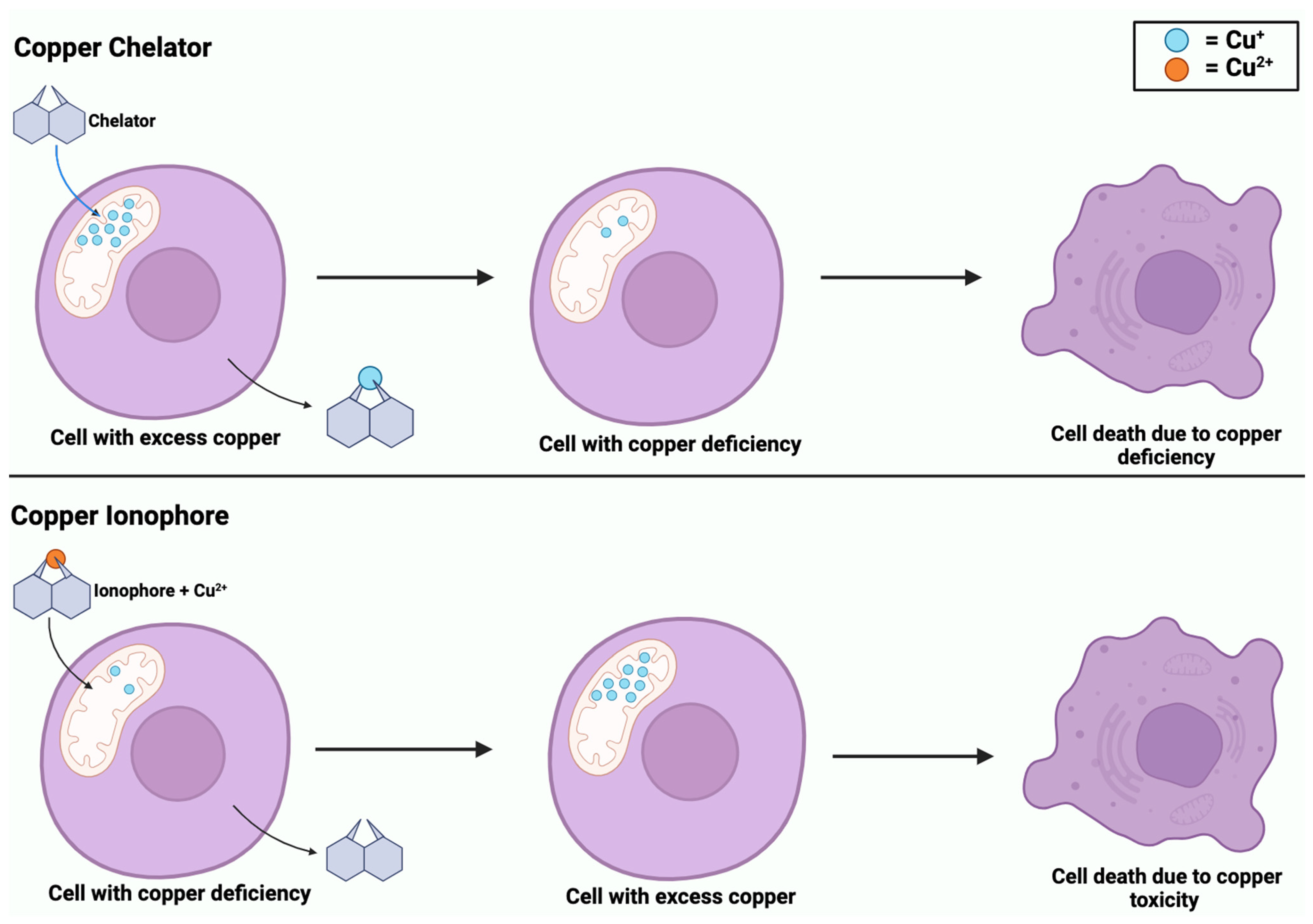 Cancers 16 00647 g006