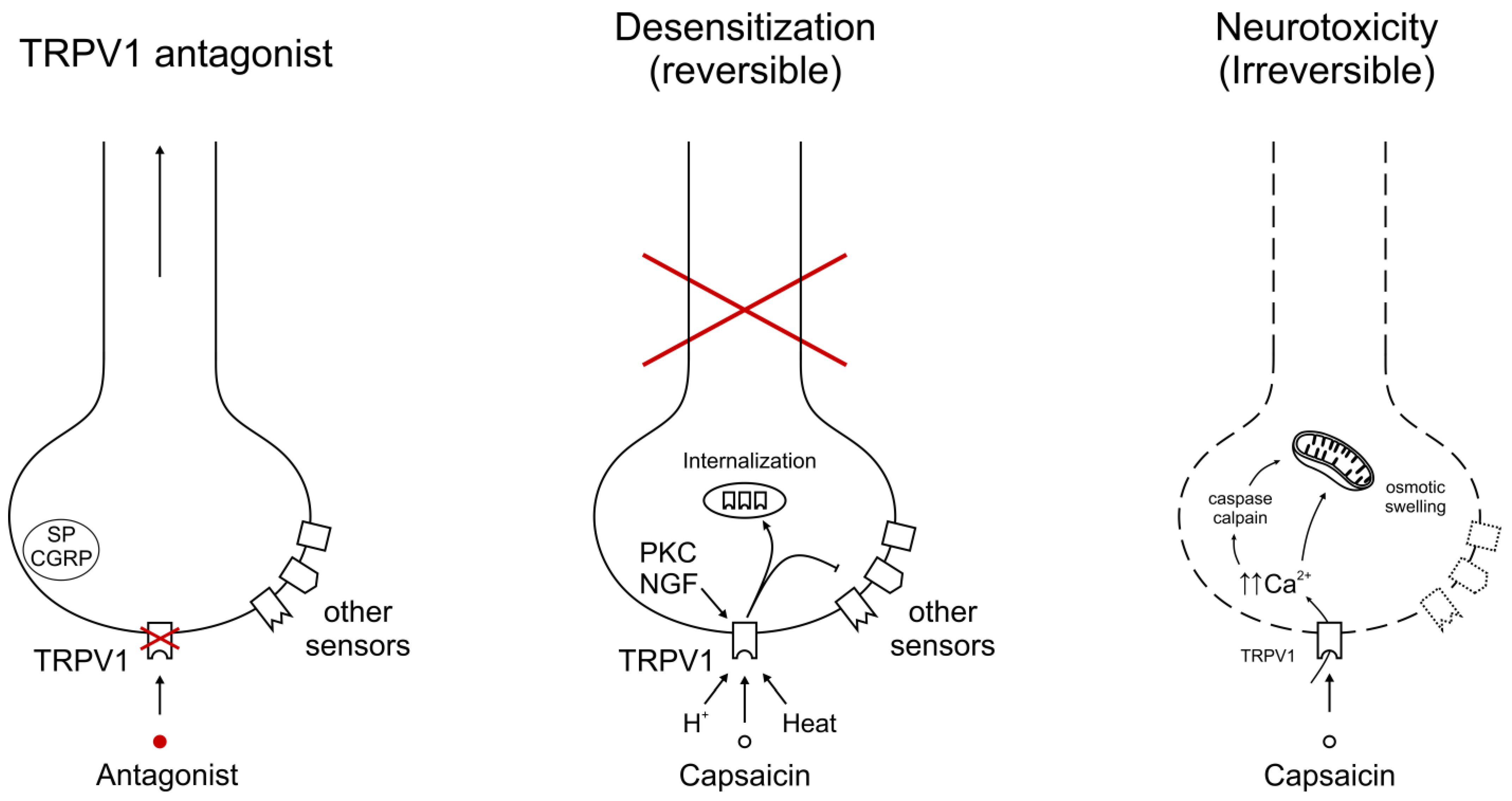 Cancers 16 00648 g002