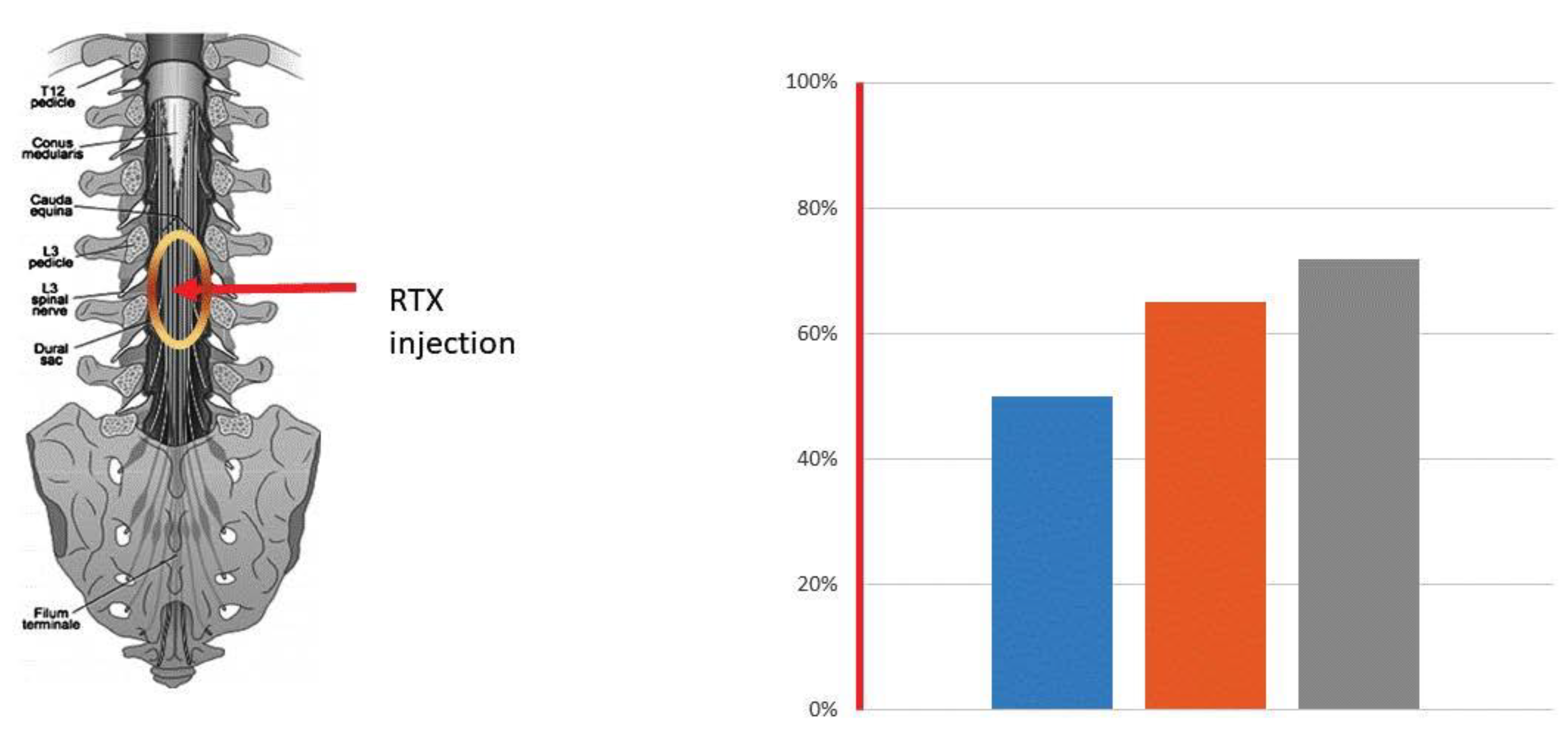 Cancers 16 00648 g005