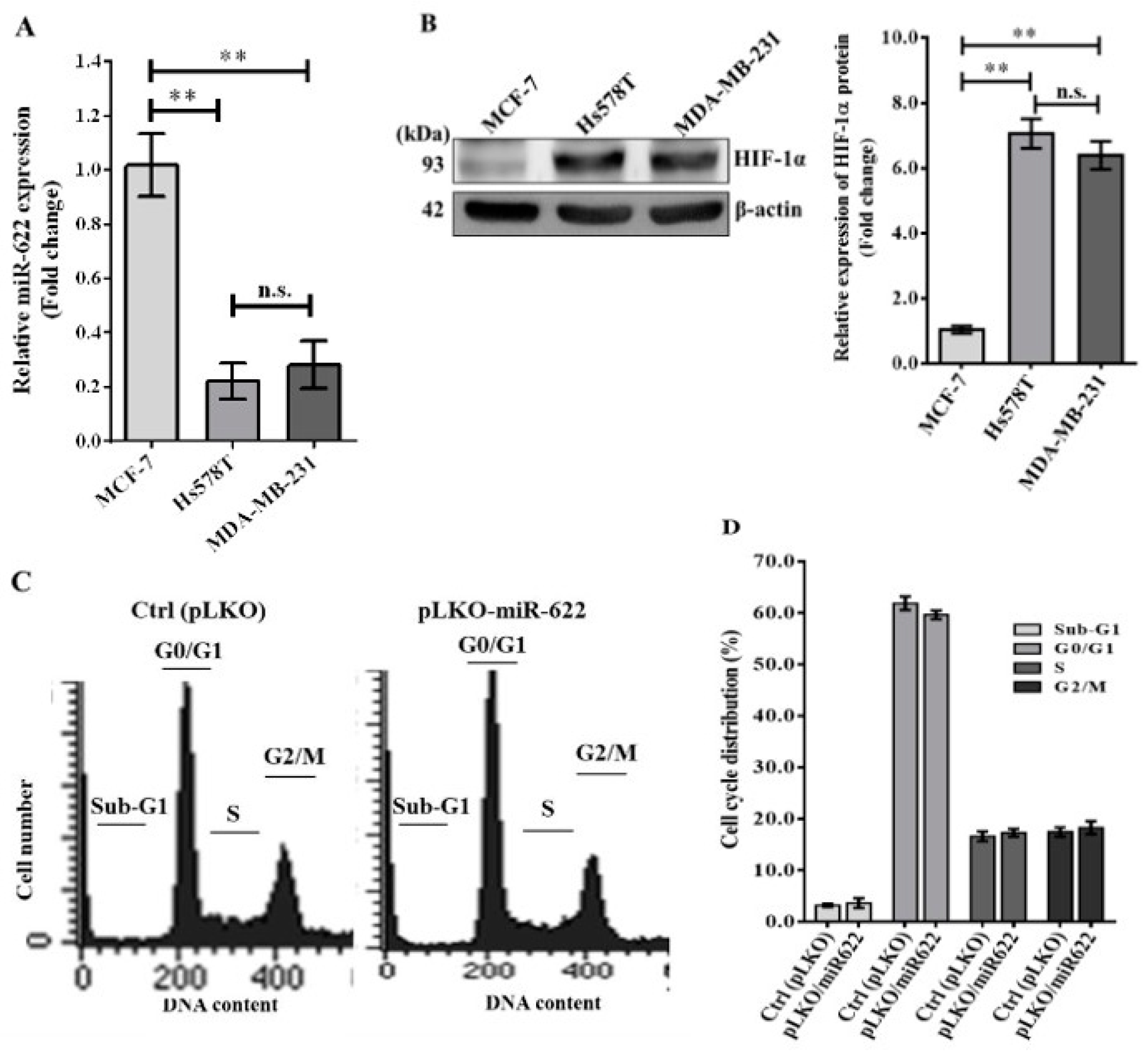 Cancers 16 00657 g001