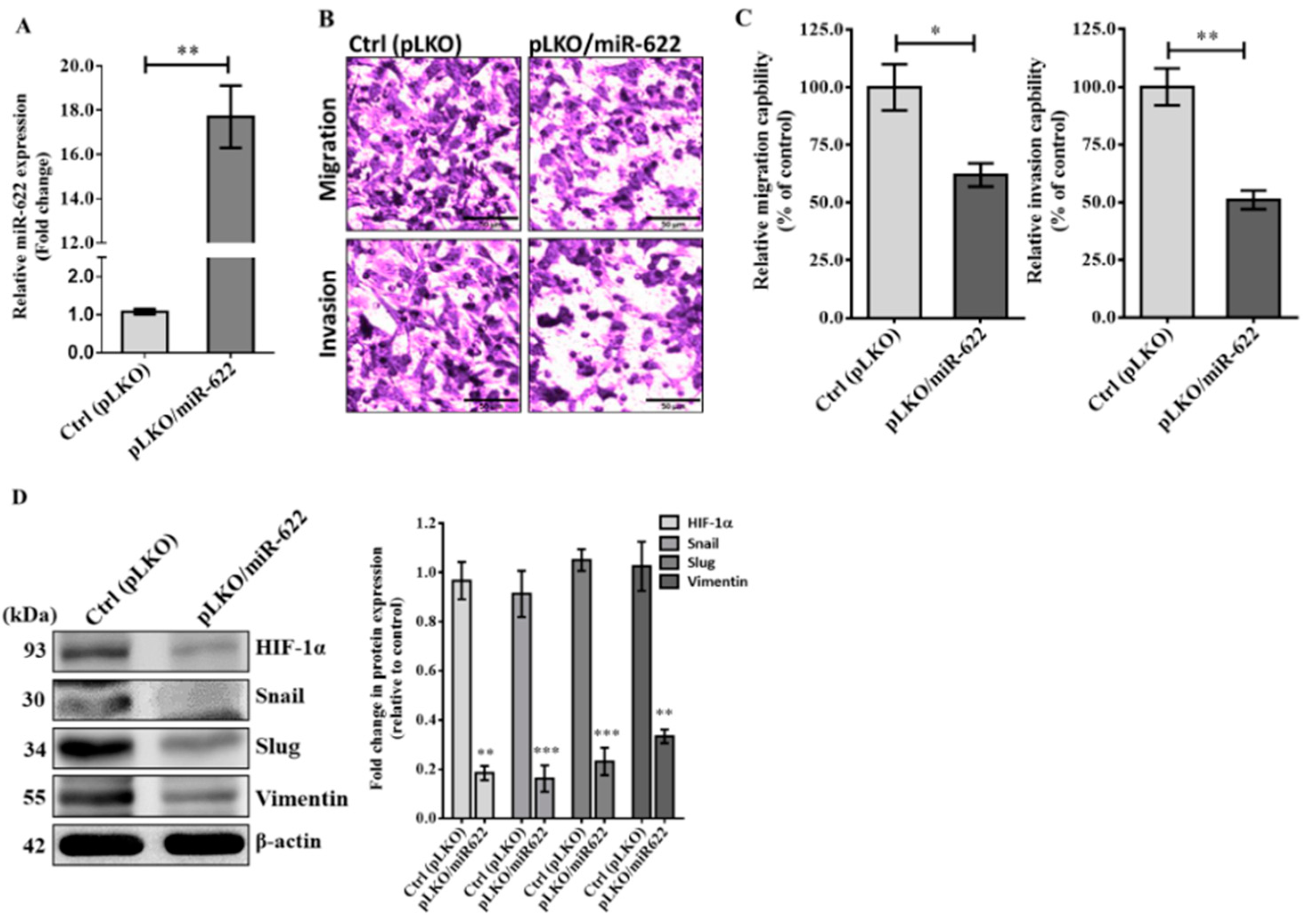 Cancers 16 00657 g002