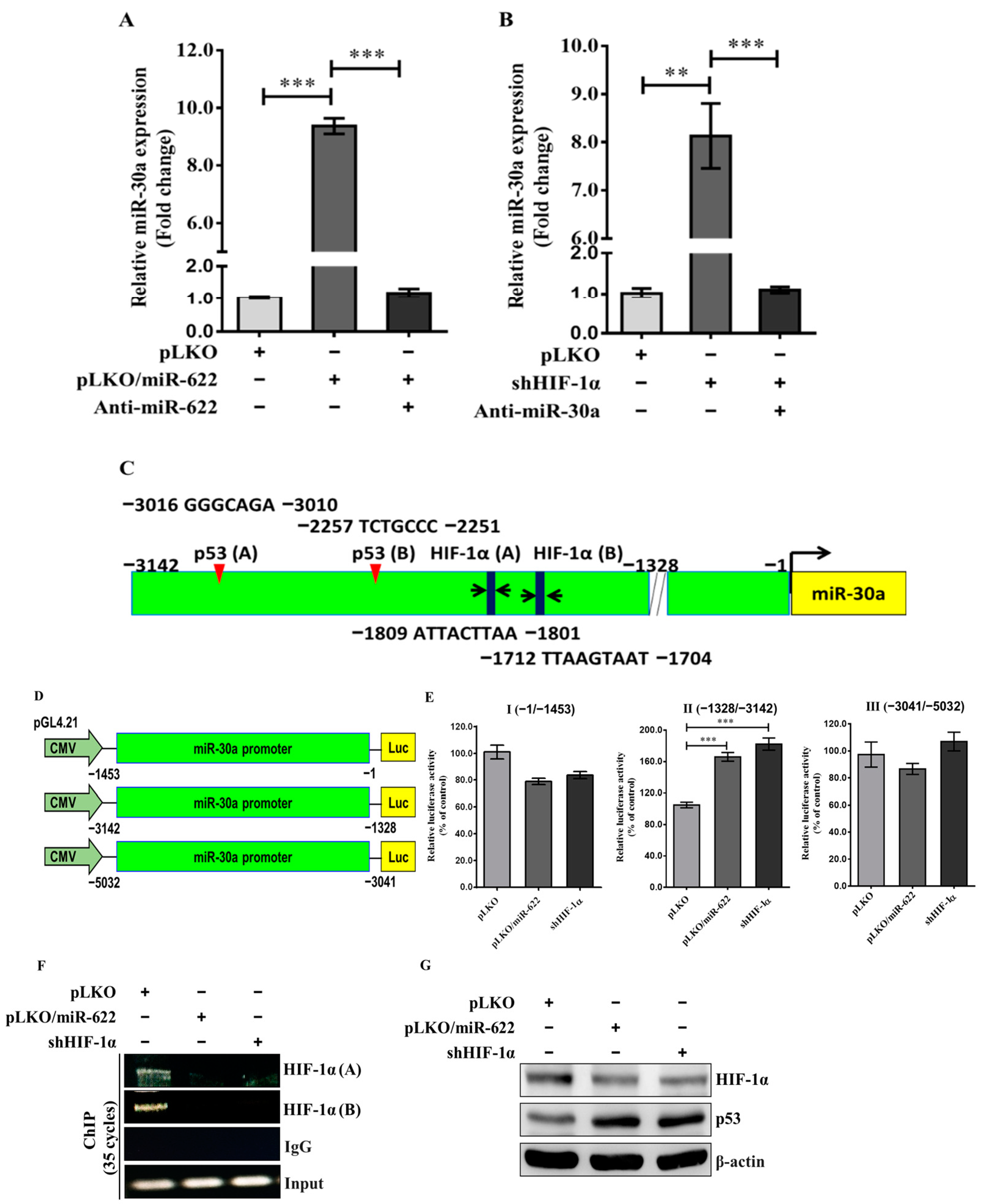 Cancers 16 00657 g005