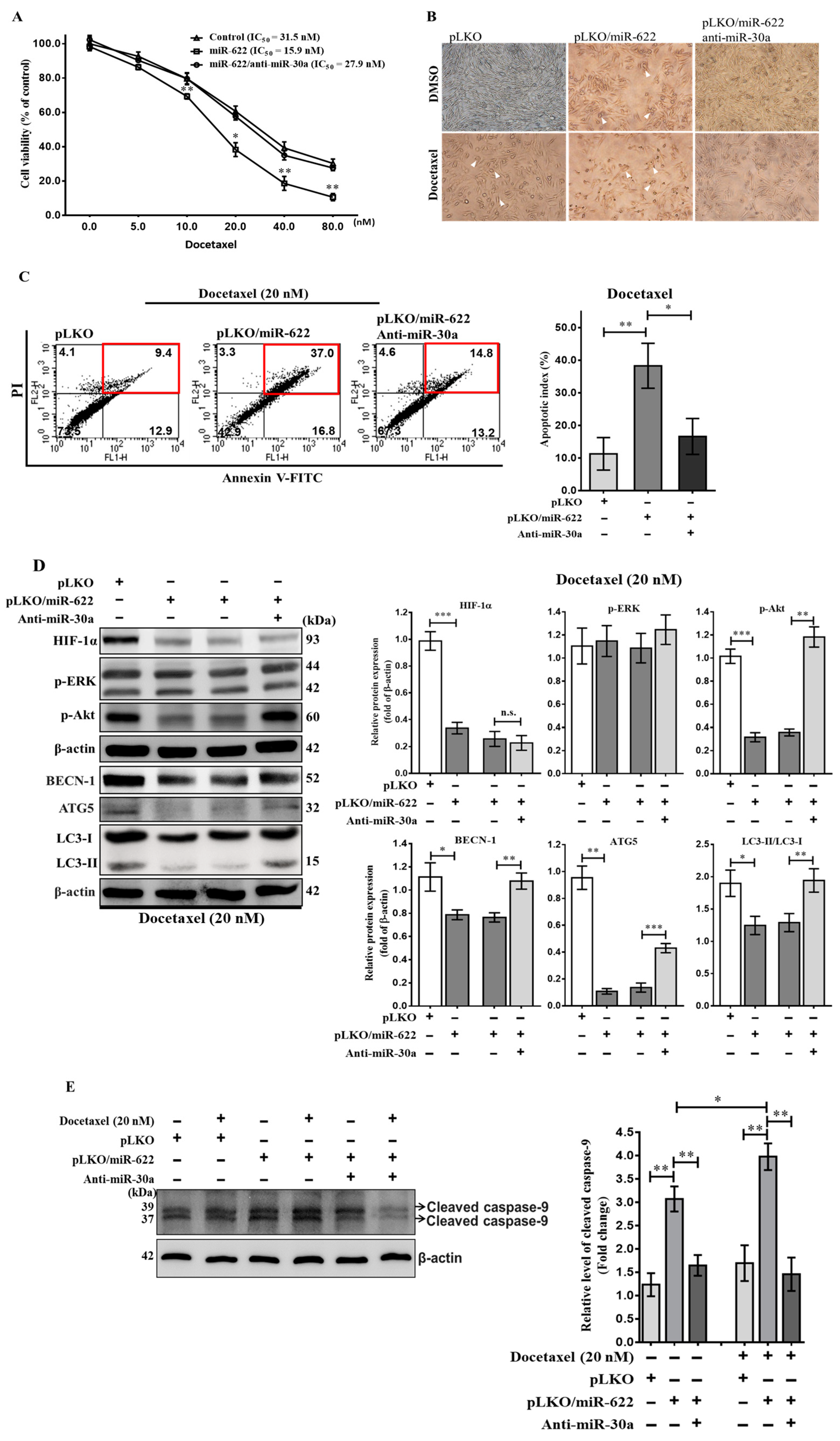 Cancers 16 00657 g006