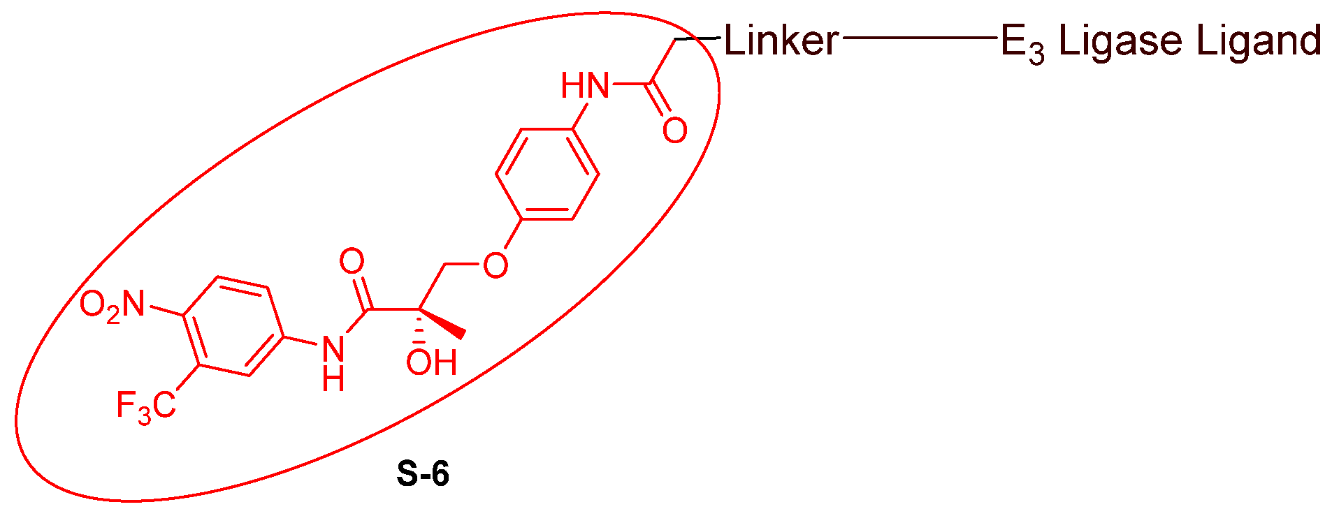 Cancers 16 00663 g006