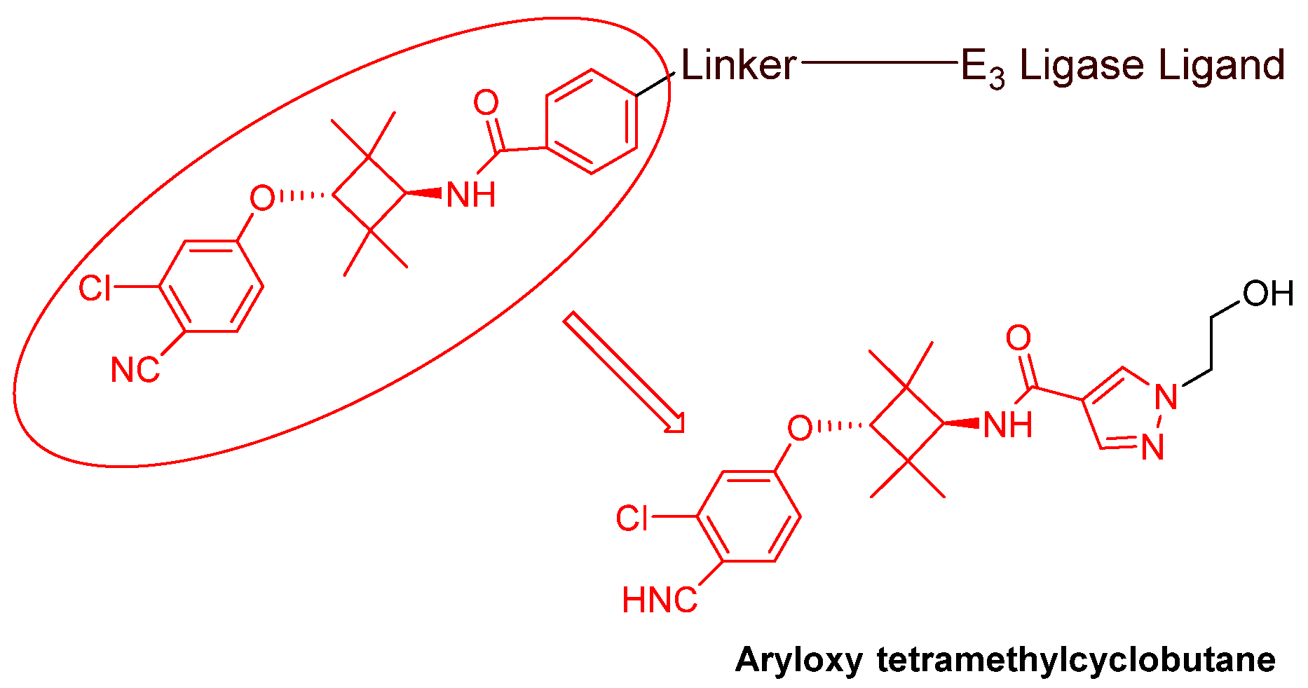 Cancers 16 00663 g008