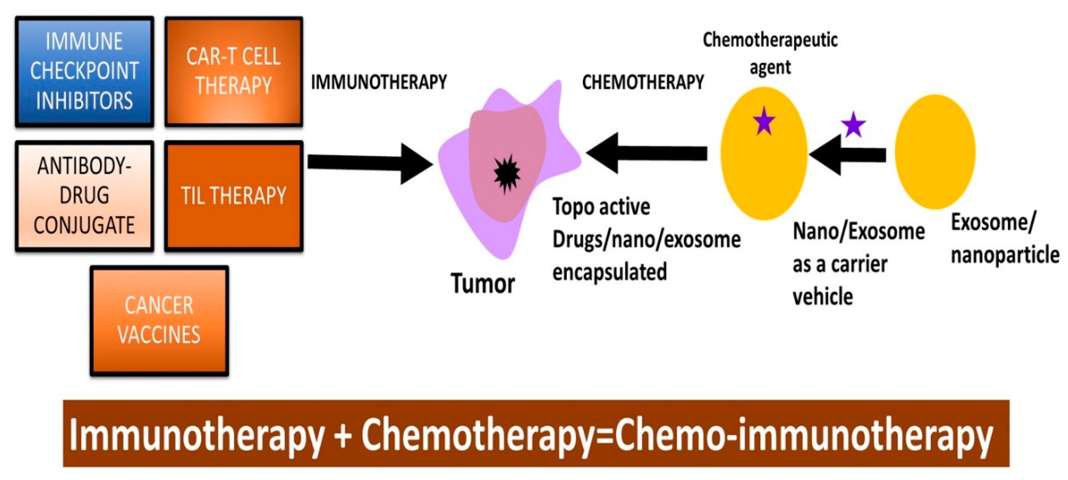 Cancers 16 00680 g002 Cancers 16 00680 g002