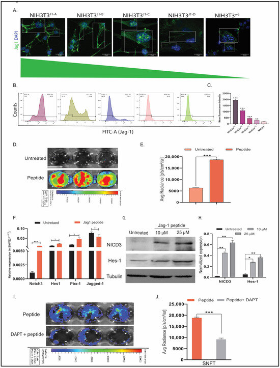 Cancers 16 00685 g001