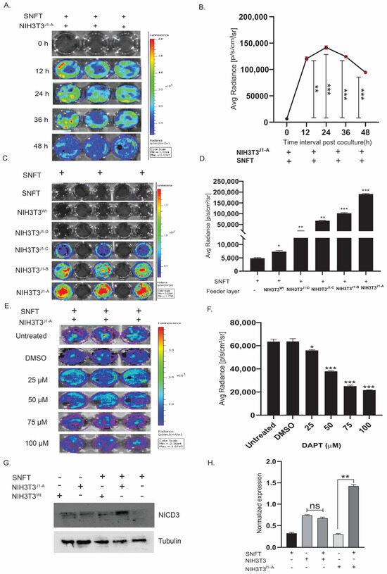 Cancers 16 00685 g002