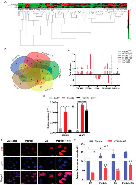 Cancers 16 00685 g005