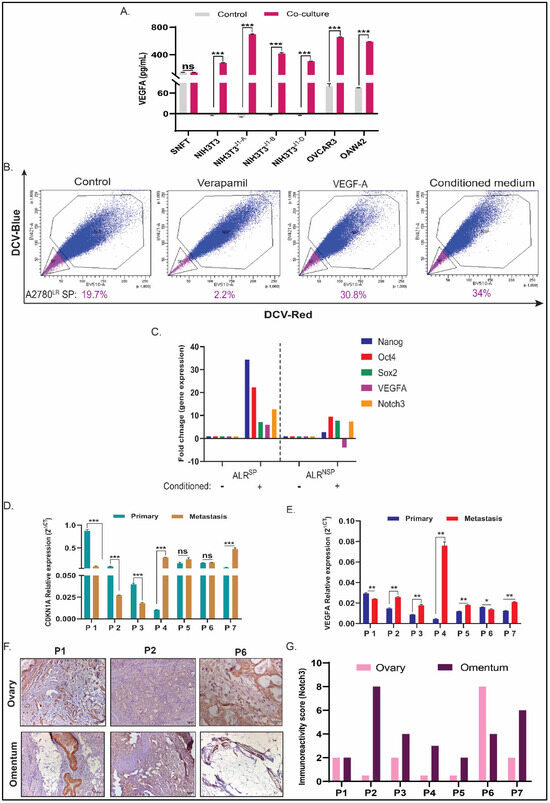 Cancers 16 00685 g006