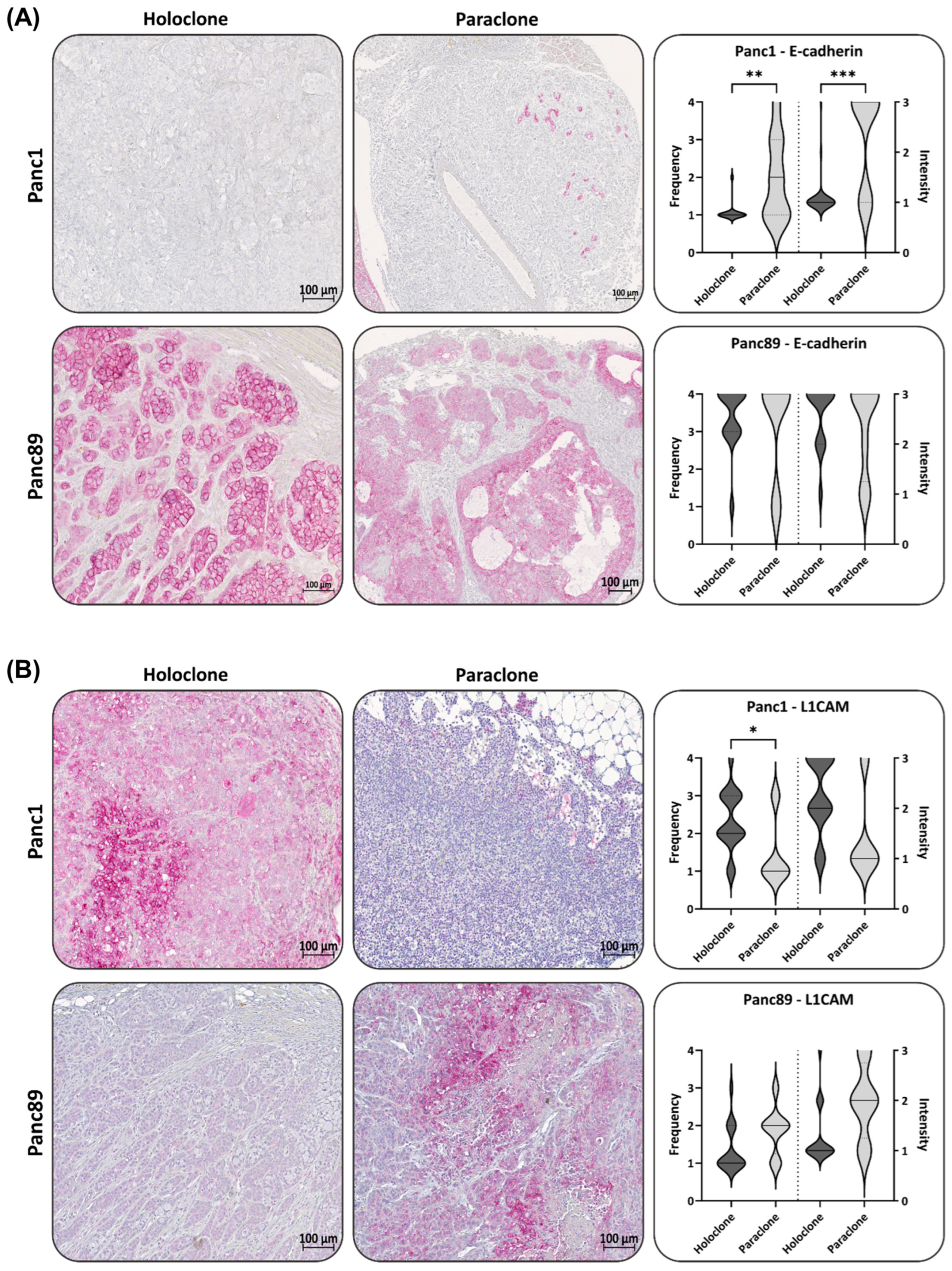 Cancers 16 00686 g006a