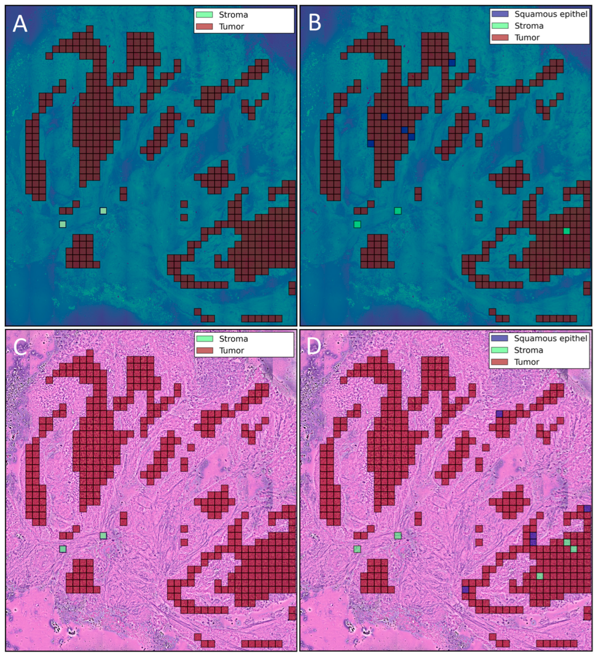 Cancers 16 00689 g002