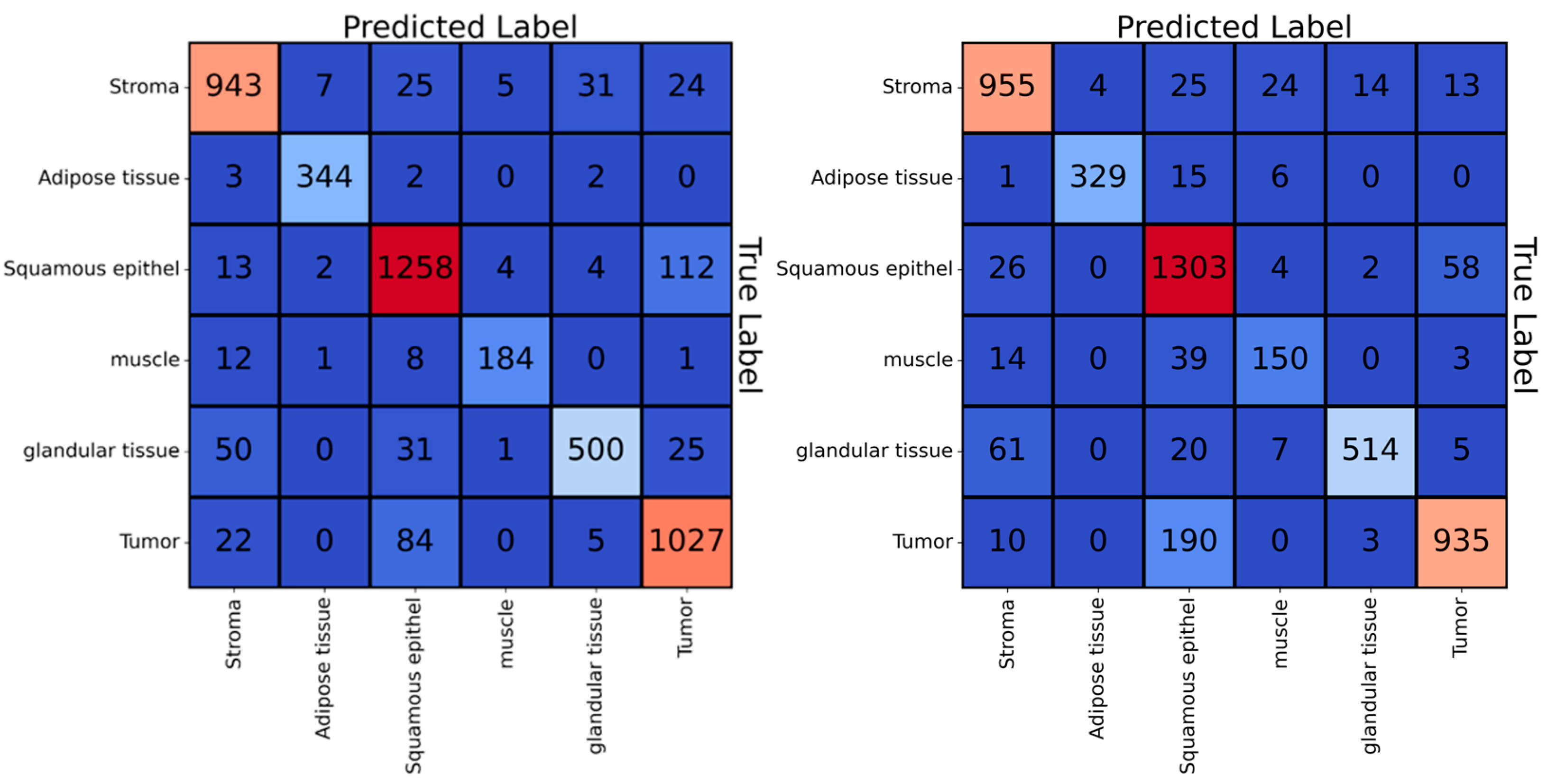 Cancers 16 00689 g003