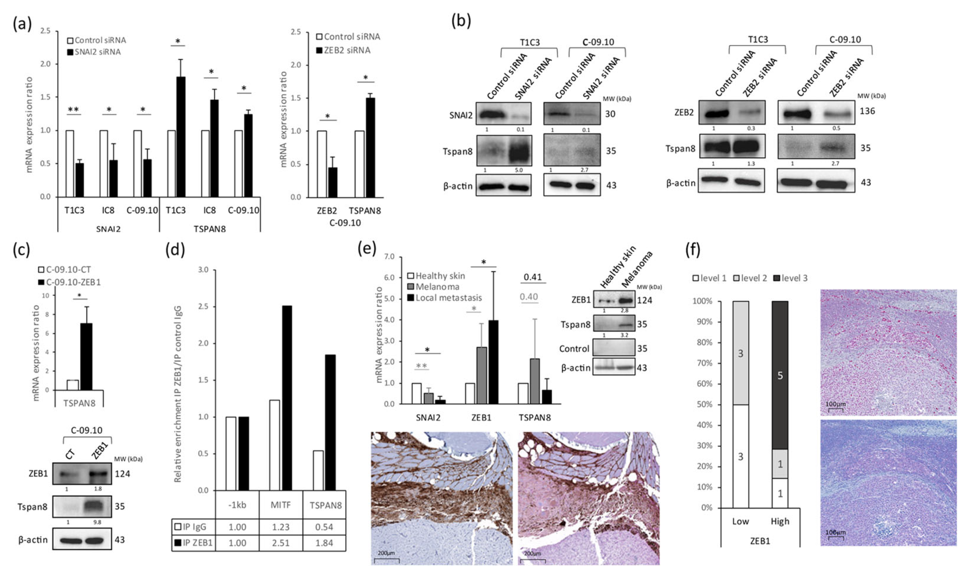 Cancers 16 00694 g003