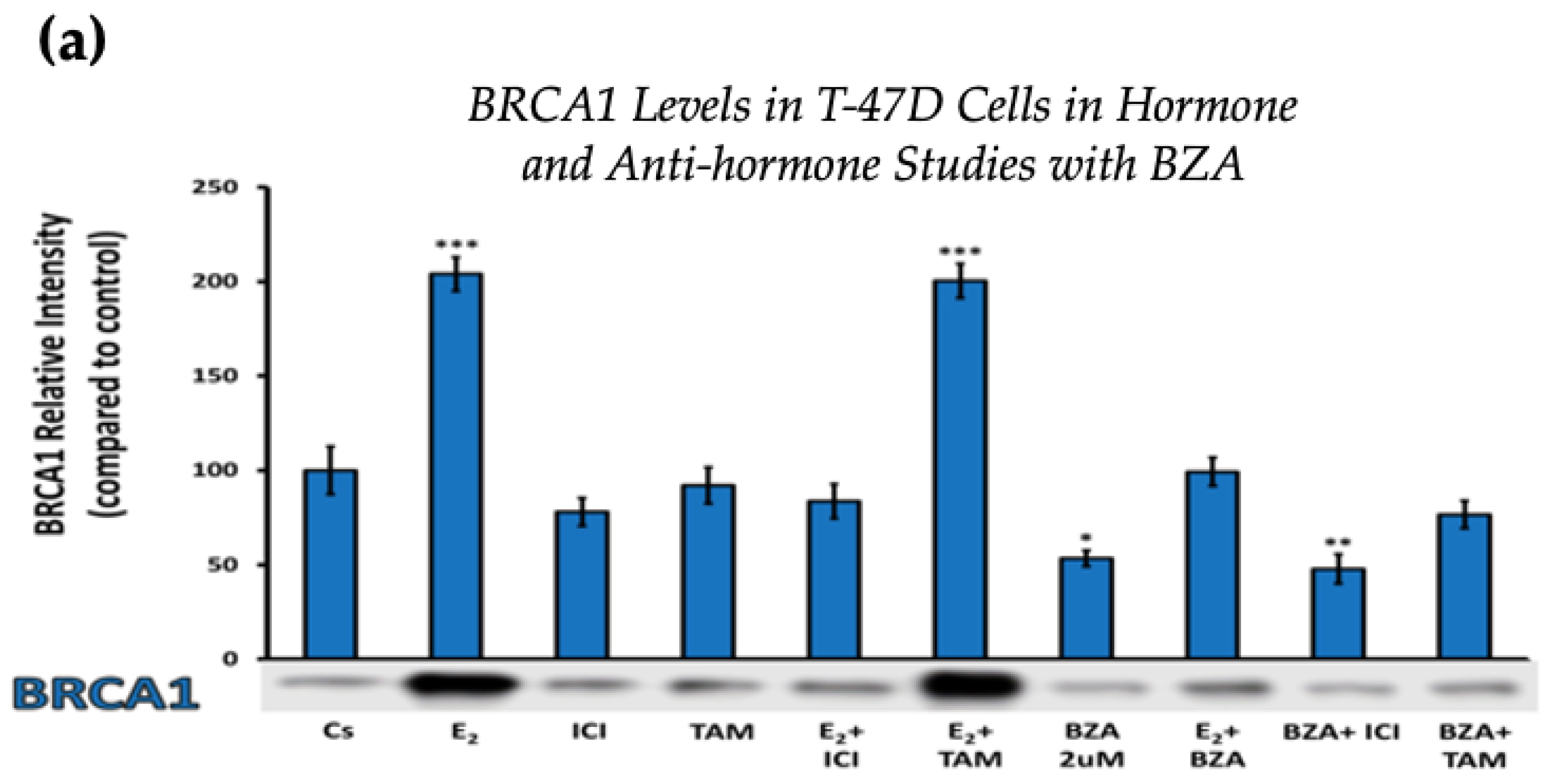 Cancers 16 00699 g004a