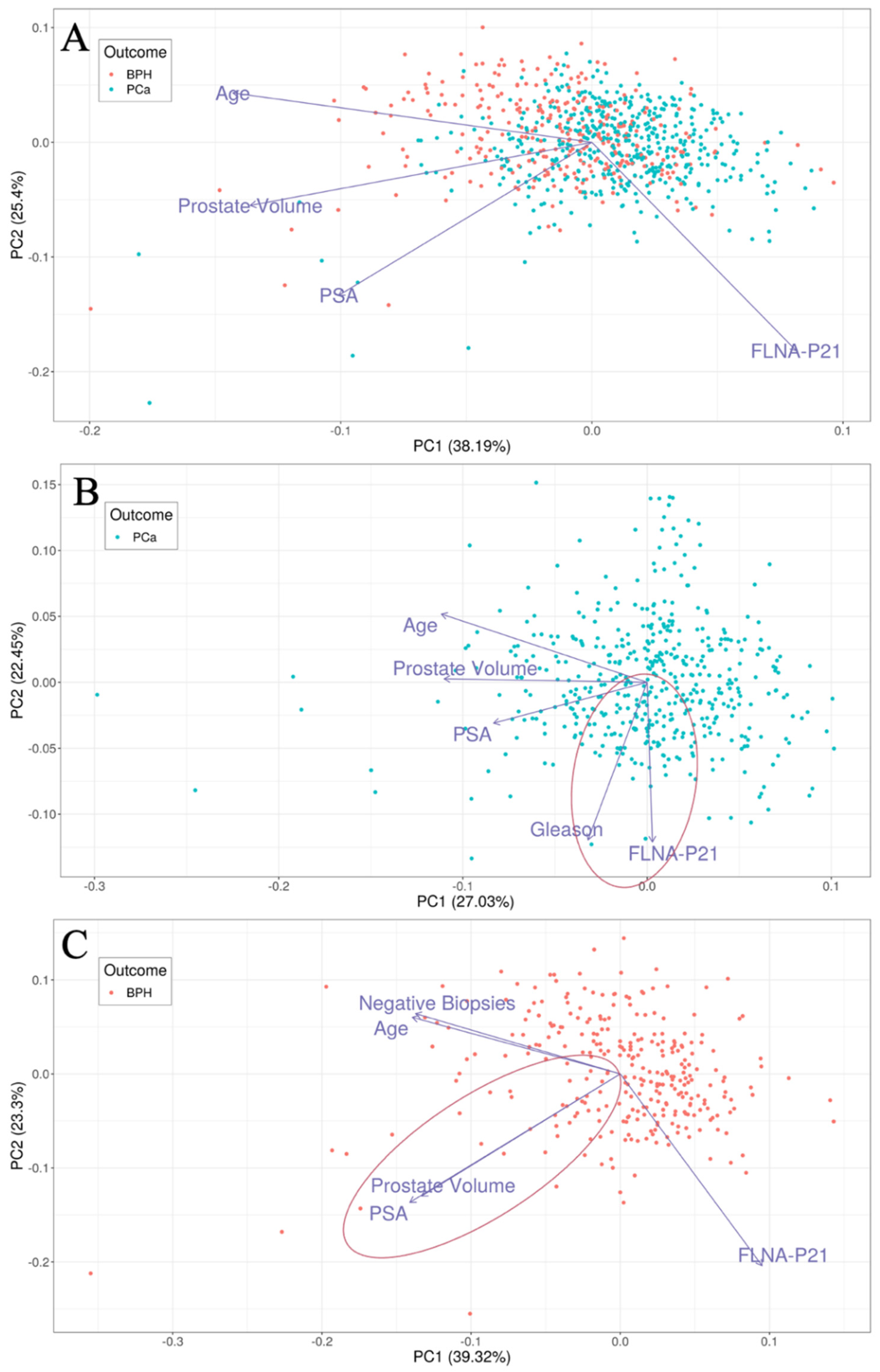 Cancers 16 00712 g001