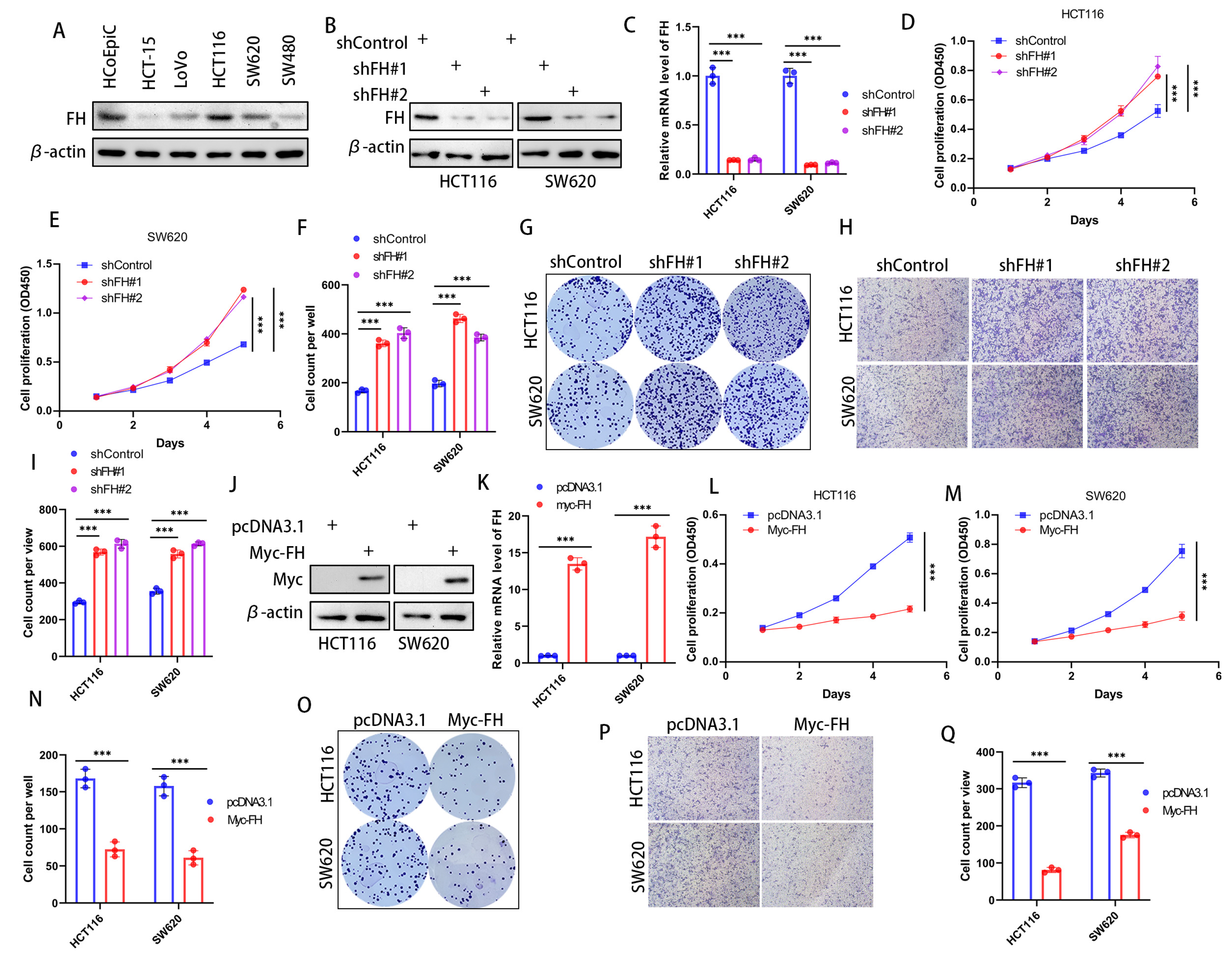 Cancers 16 00713 g002