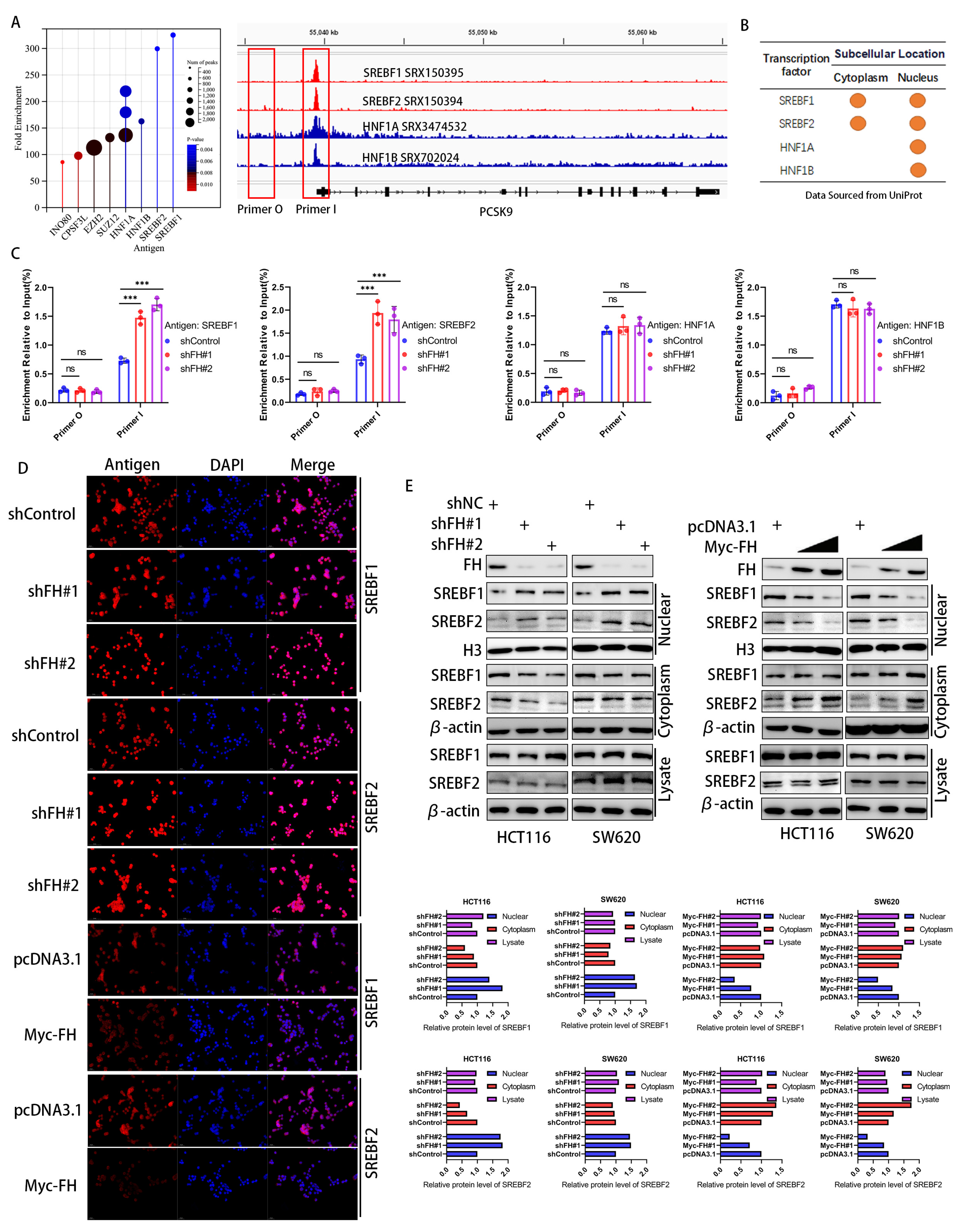 Cancers 16 00713 g005