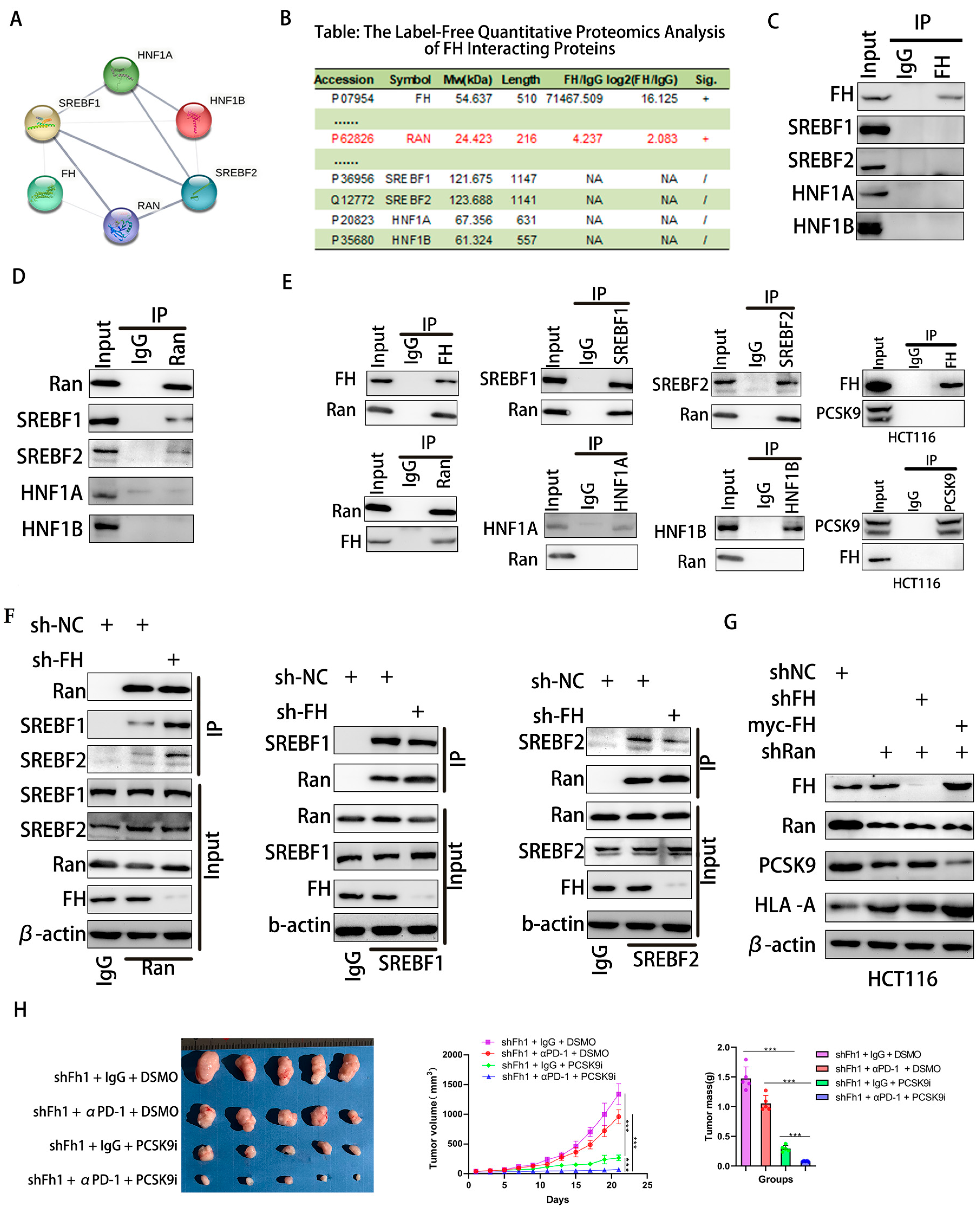 Cancers 16 00713 g006