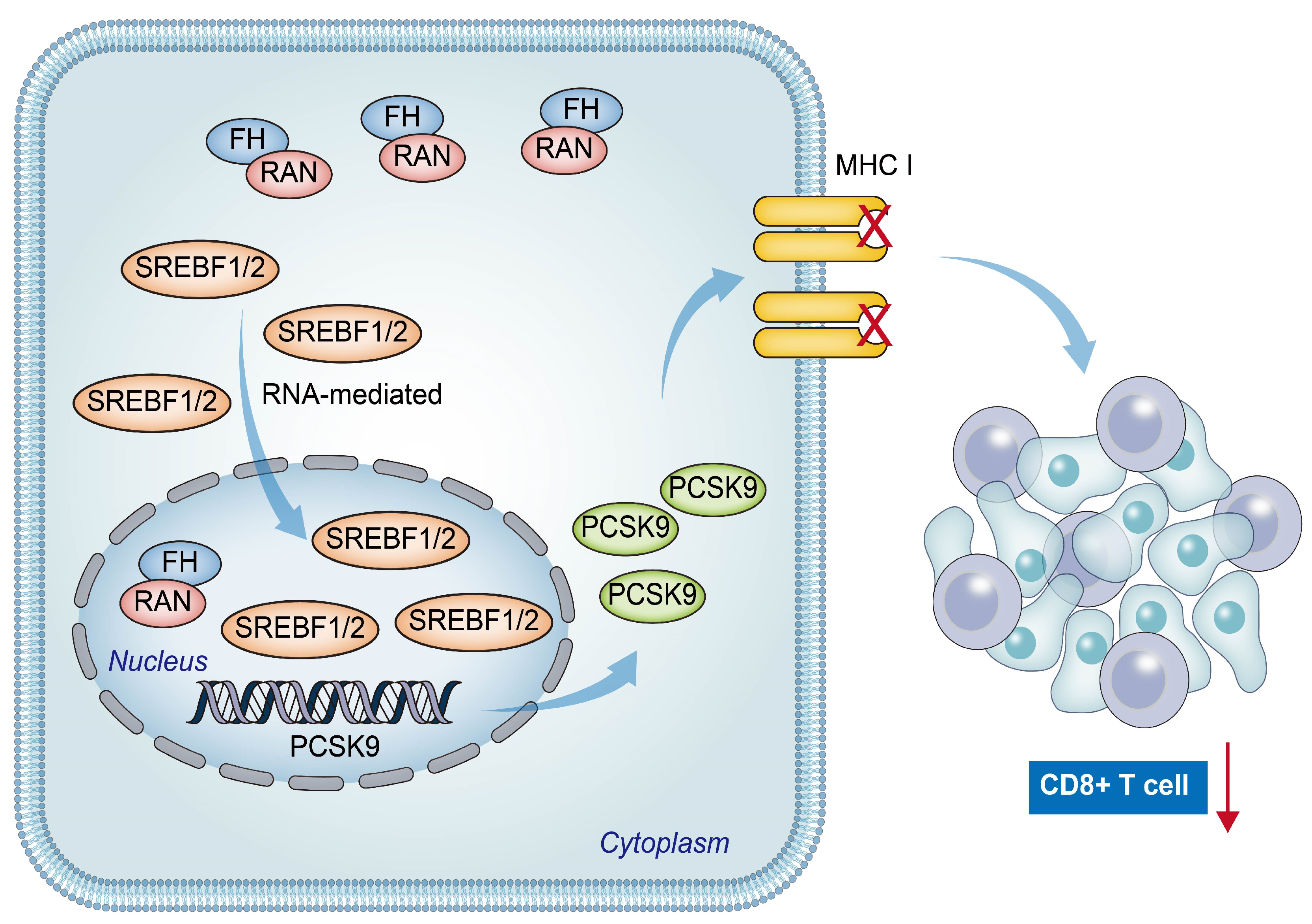 Cancers 16 00713 g007