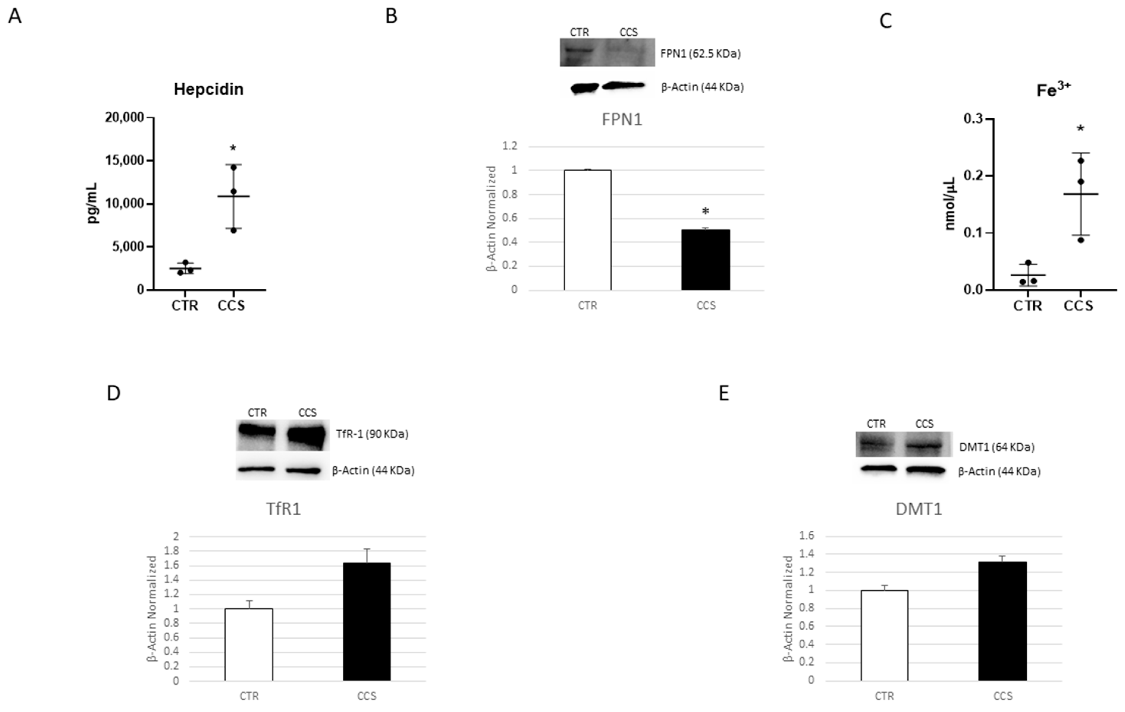 Cancers 16 00714 g003