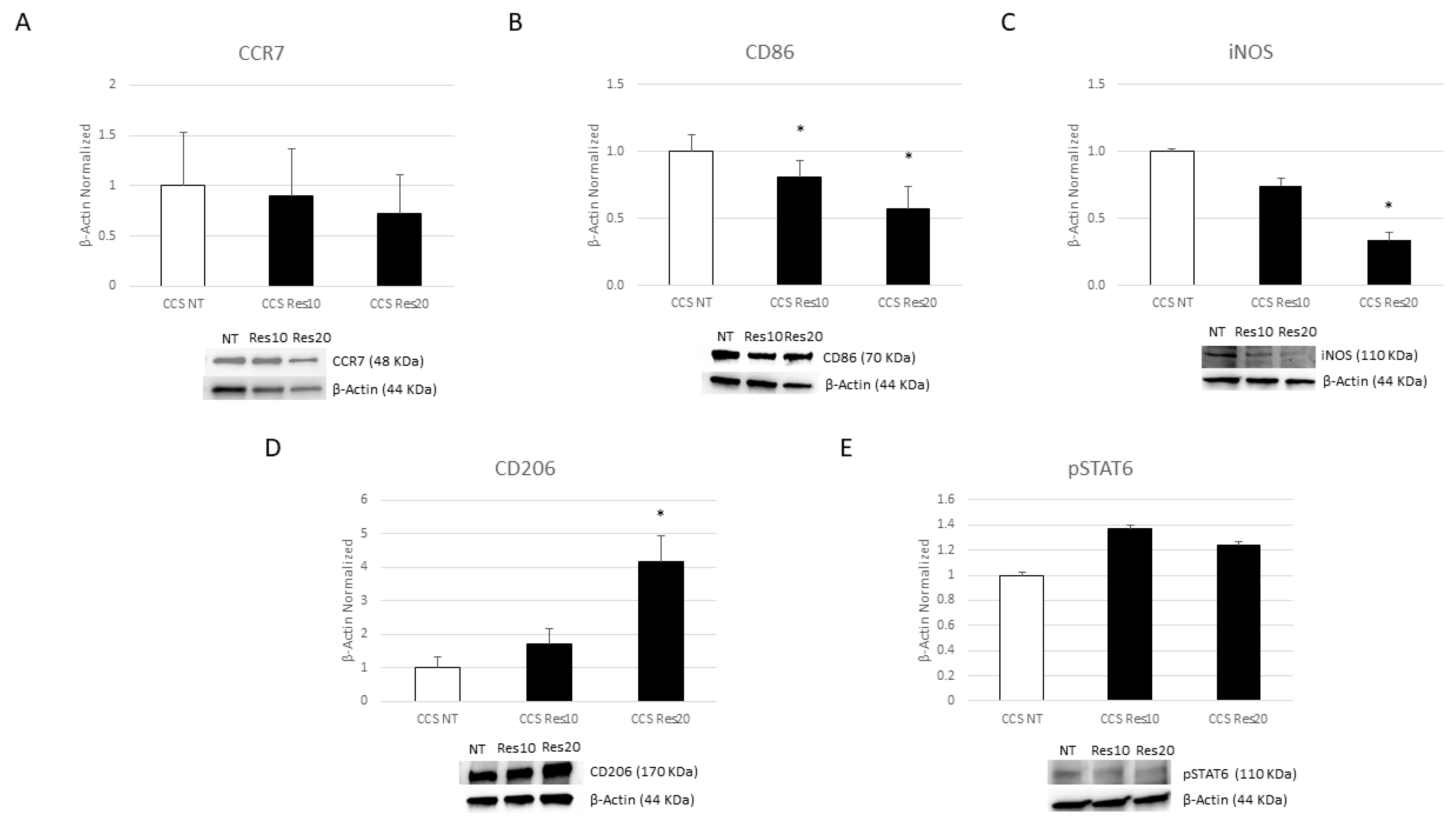 Cancers 16 00714 g005