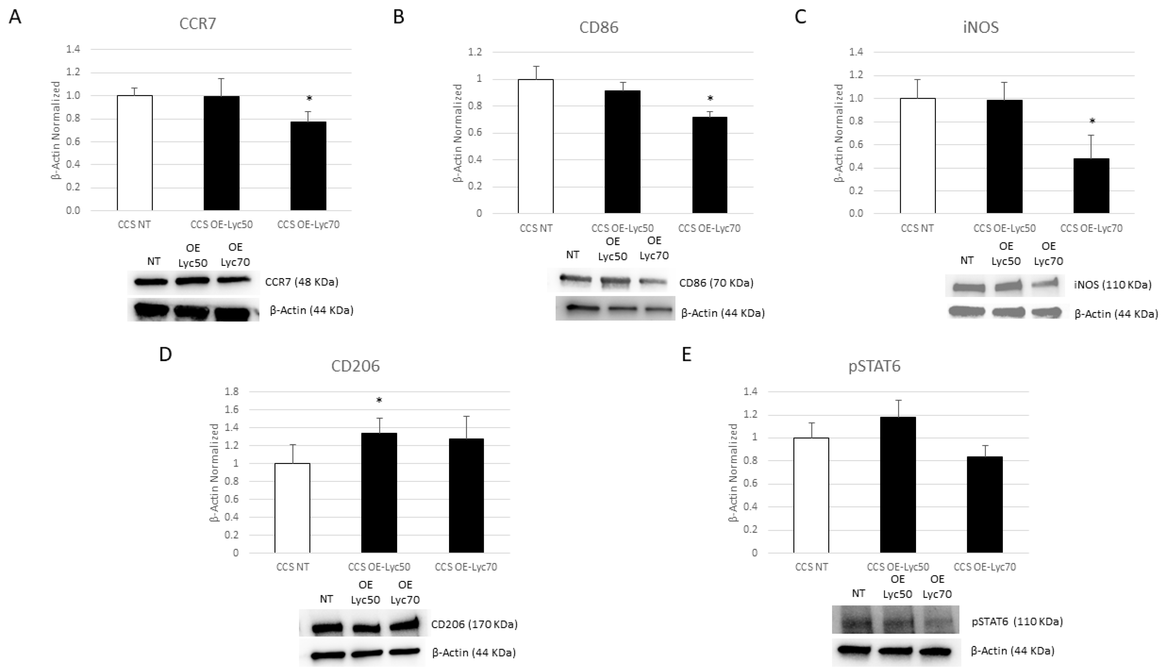 Cancers 16 00714 g007