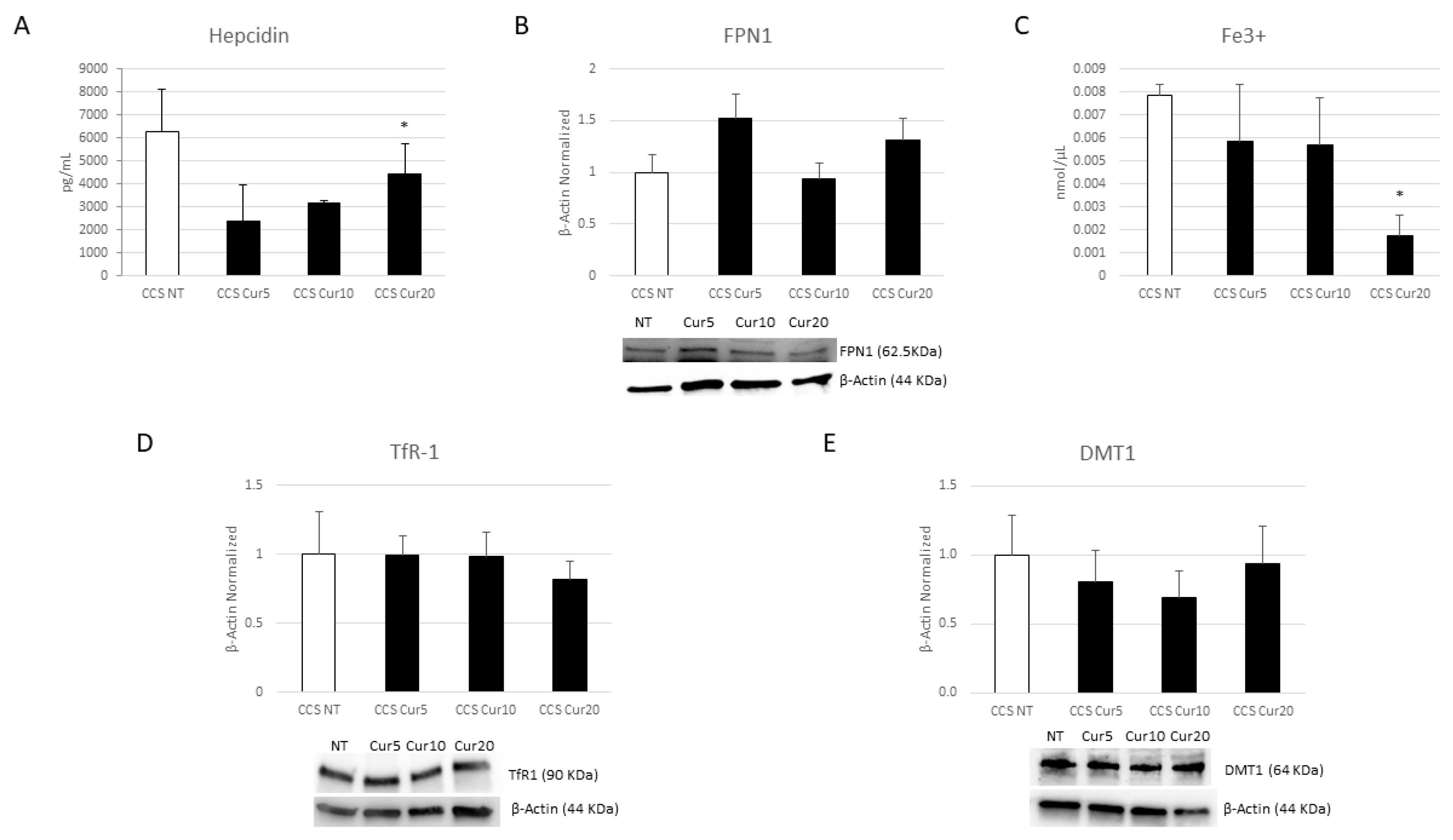 Cancers 16 00714 g012