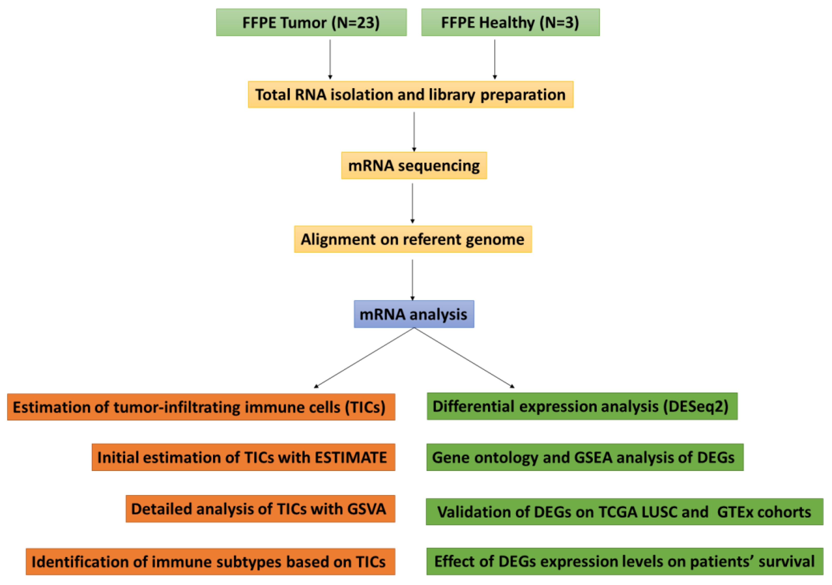 Cancers 16 00720 g001