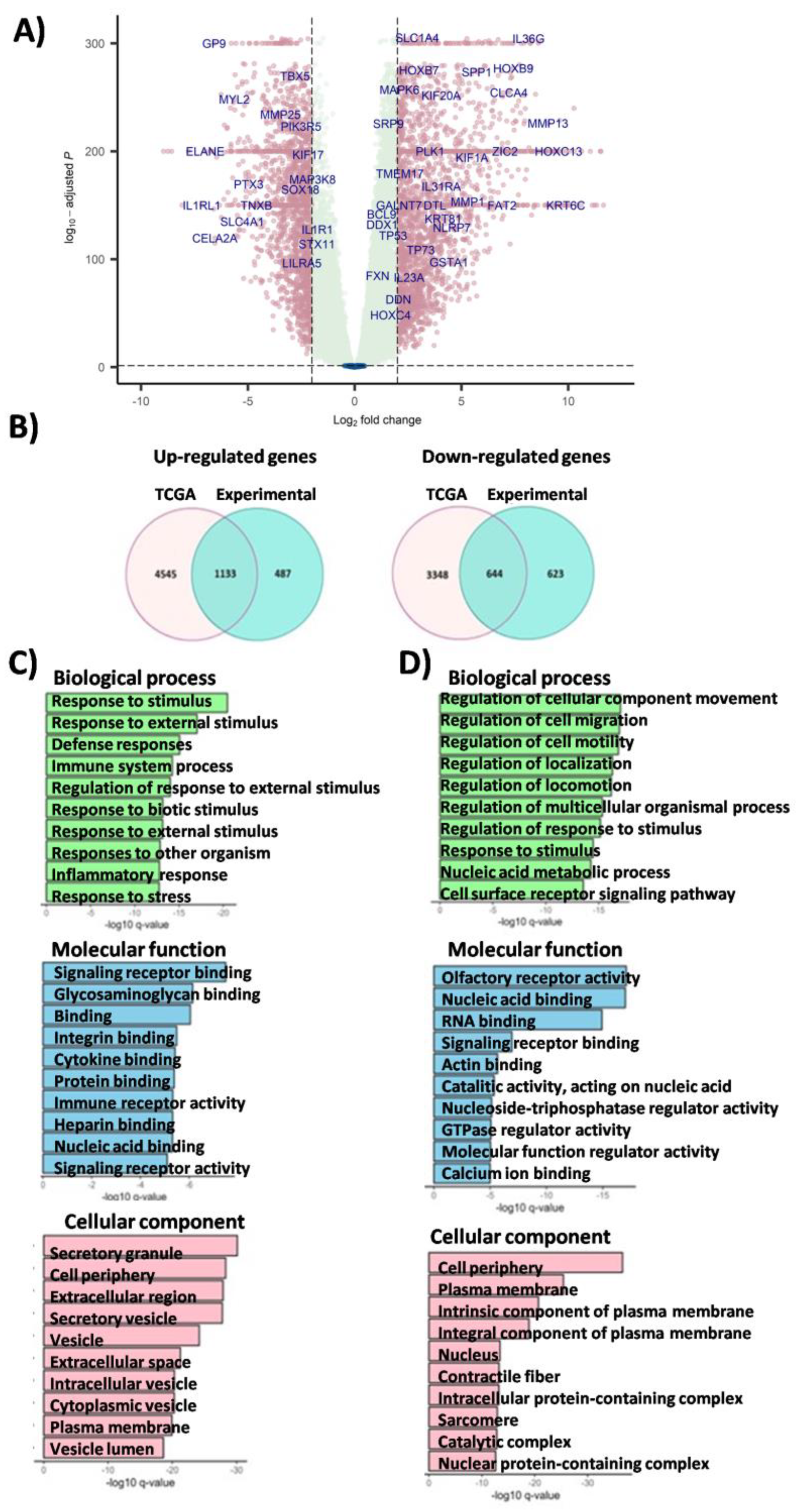 Cancers 16 00720 g003