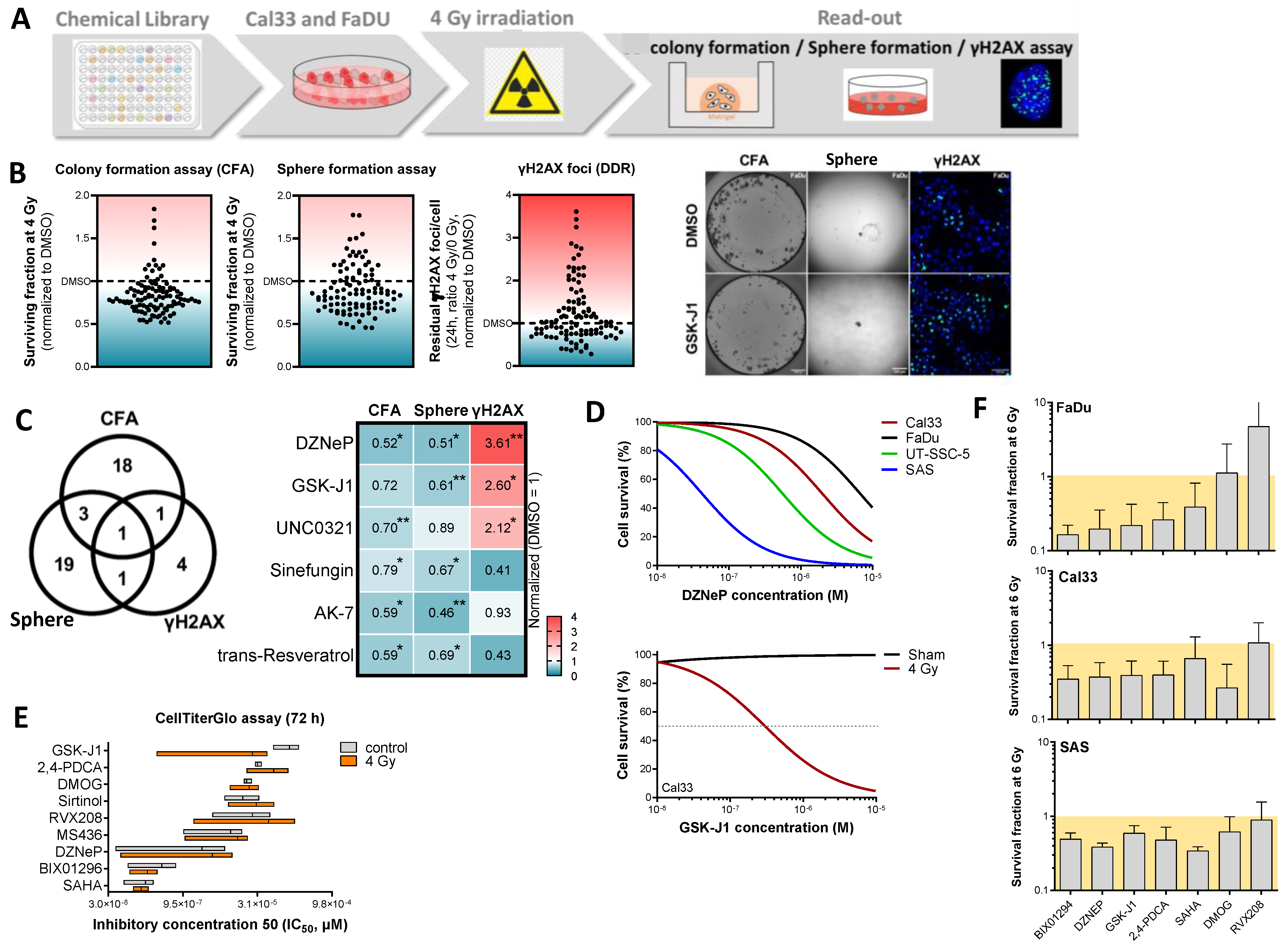 Cancers 16 00730 g003