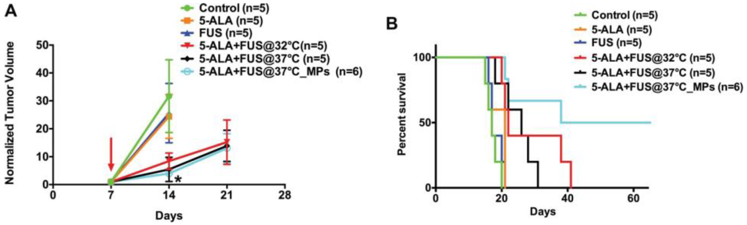 Cancers 16 00740 g007