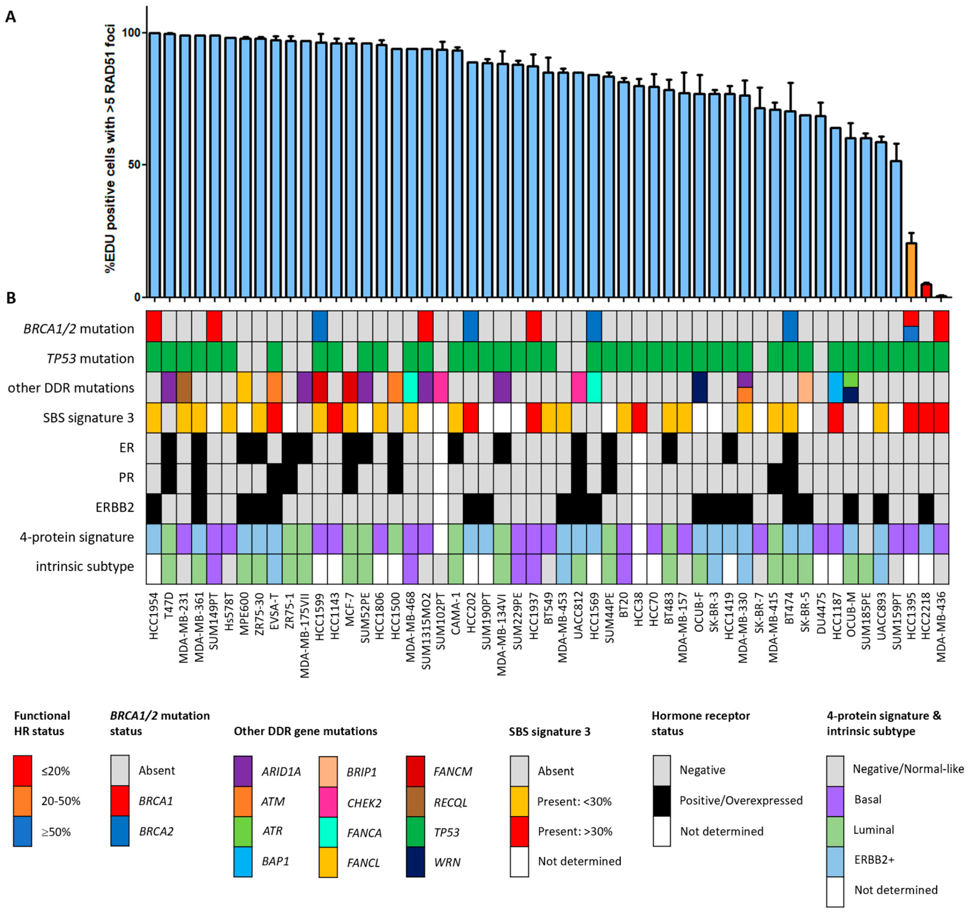 Cancers 16 00741 g001