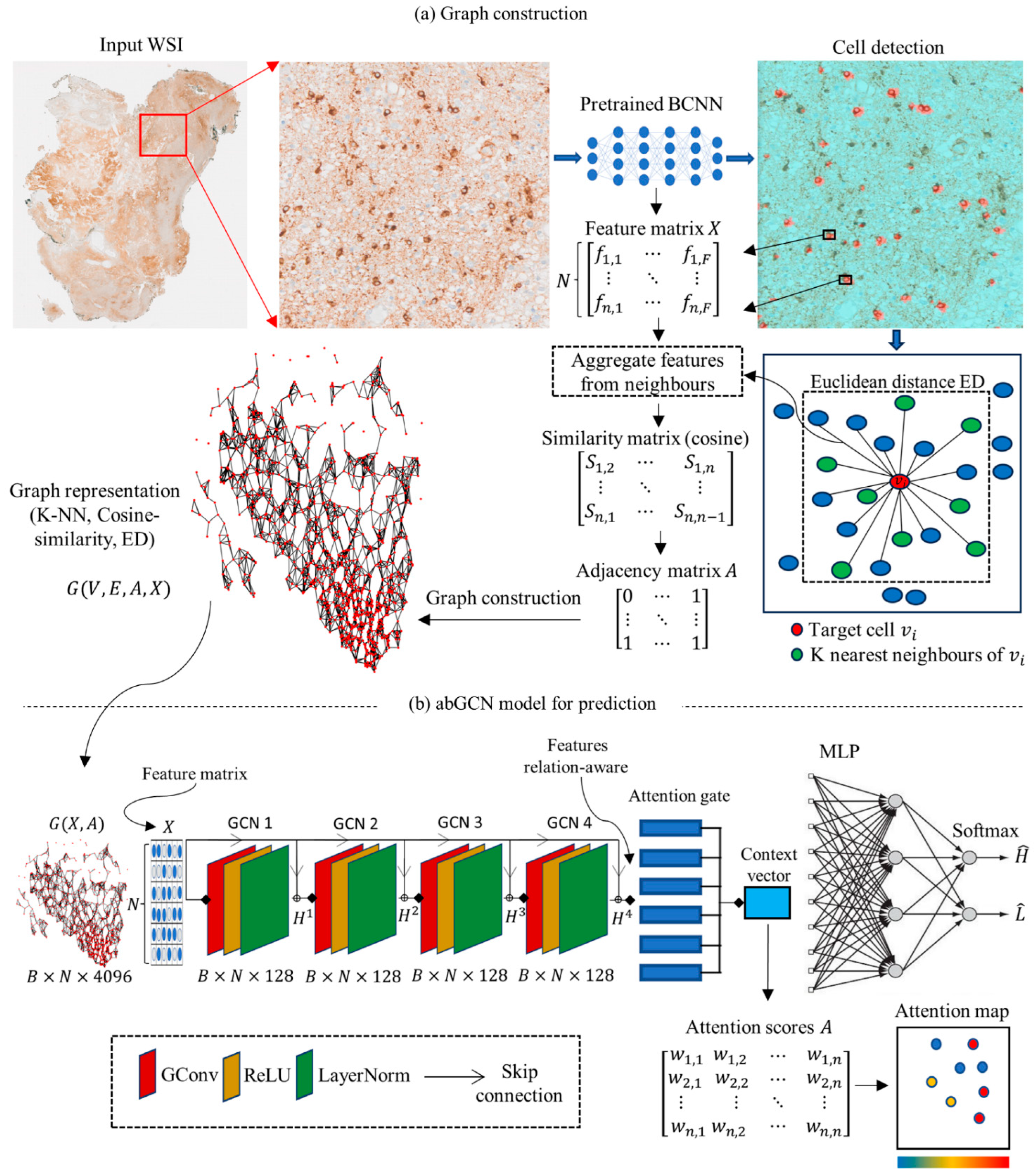 Cancers 16 00750 g001